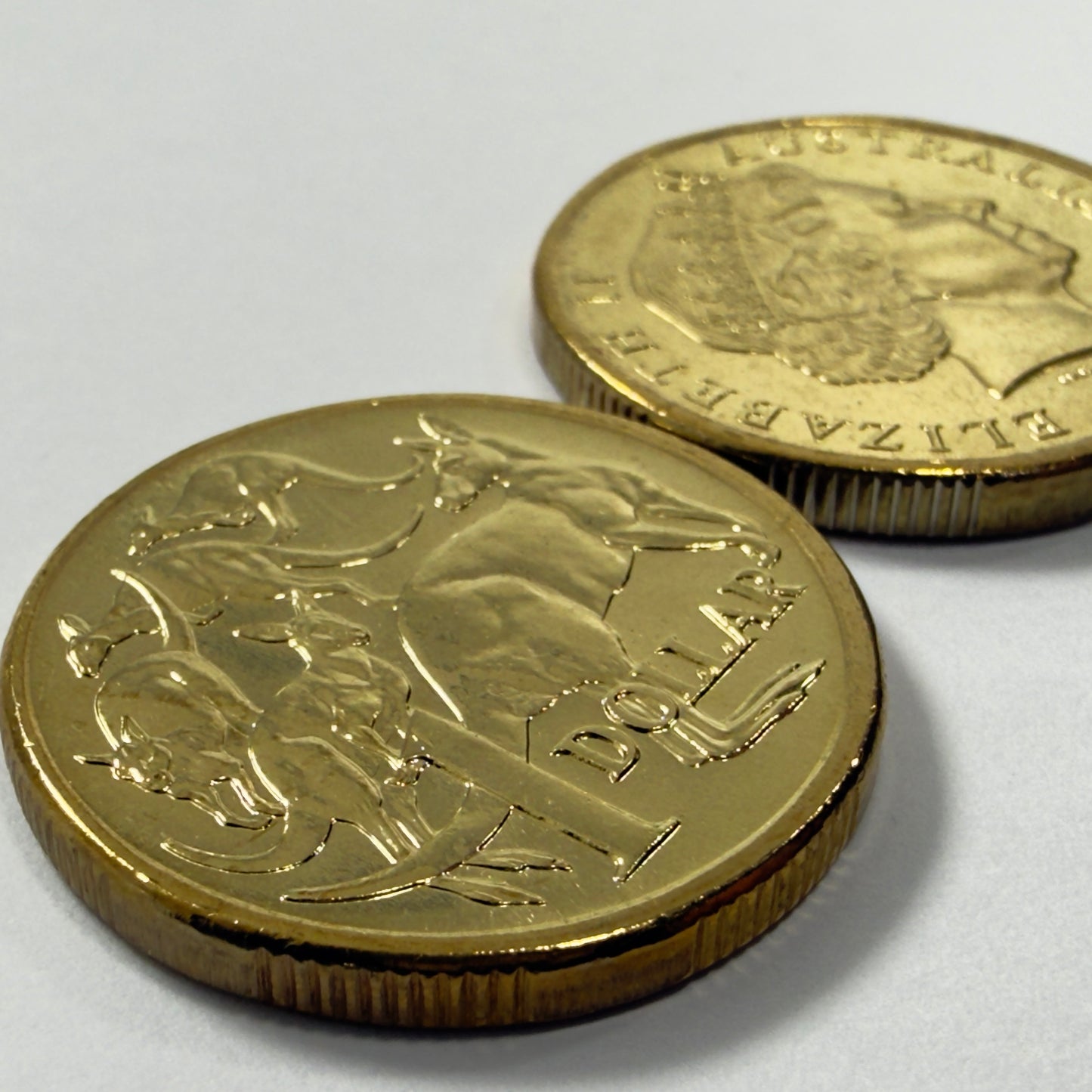 2005 $1 Coin - Mob of Roos - Uncirculated - One Dollar - comes in 2x2