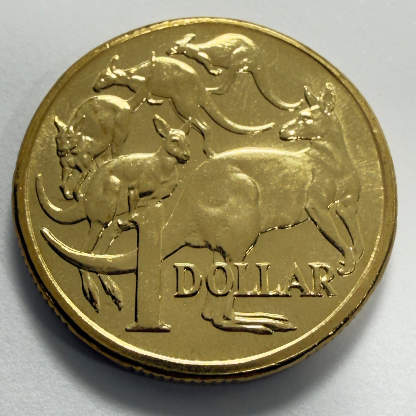 2005 $1 Coin - Mob of Roos - Uncirculated - One Dollar - comes in 2x2