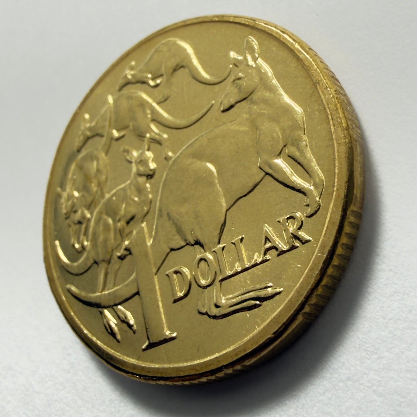 2005 $1 Coin - Mob of Roos - Uncirculated - One Dollar - comes in 2x2