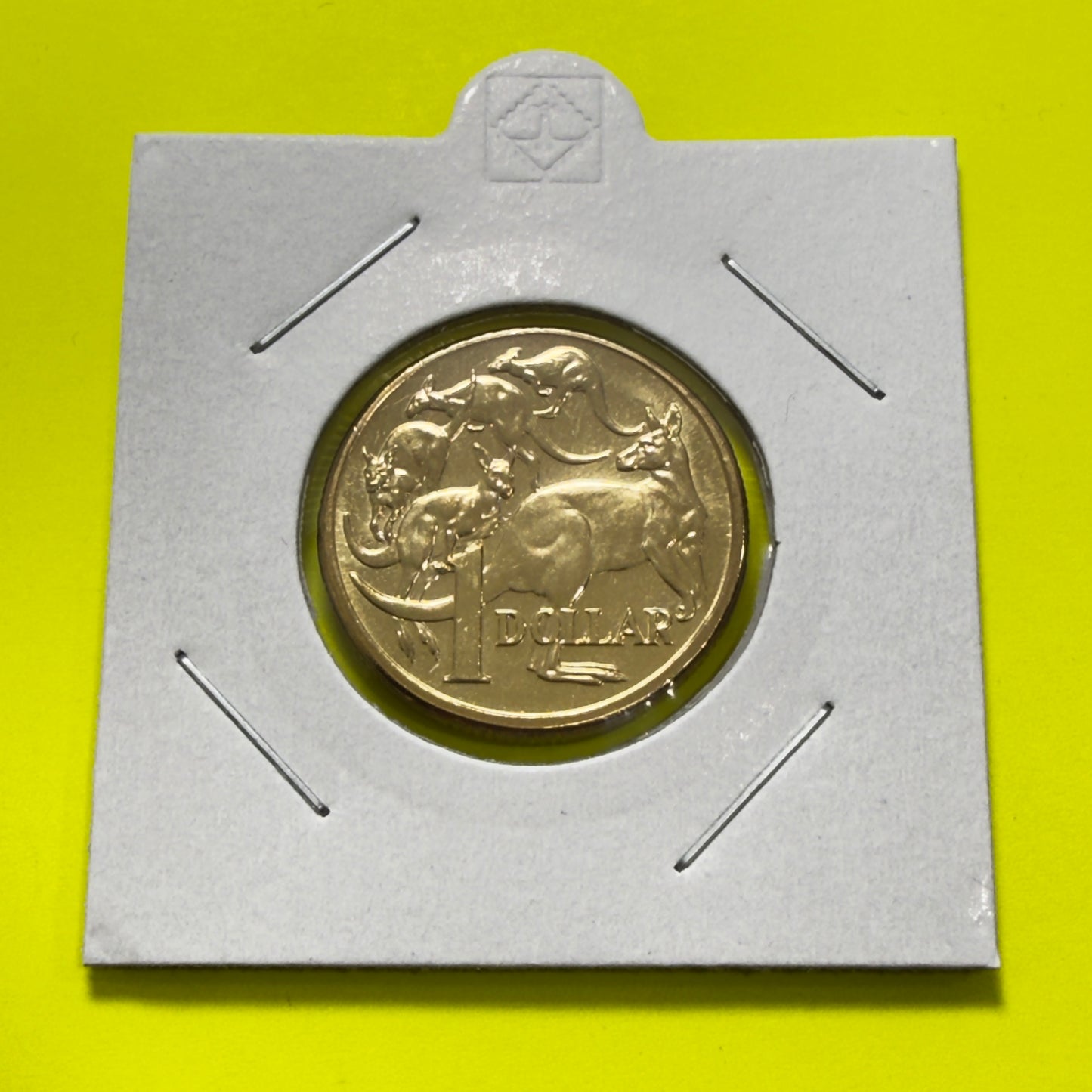 2005 $1 Coin - Mob of Roos - Uncirculated - One Dollar - comes in 2x2