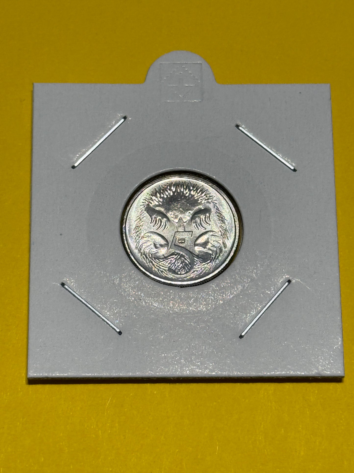 2023 5 Cent Coin - Choice Uncirculated - mint set only coin - comes in 2x2 - New Age Numismatics