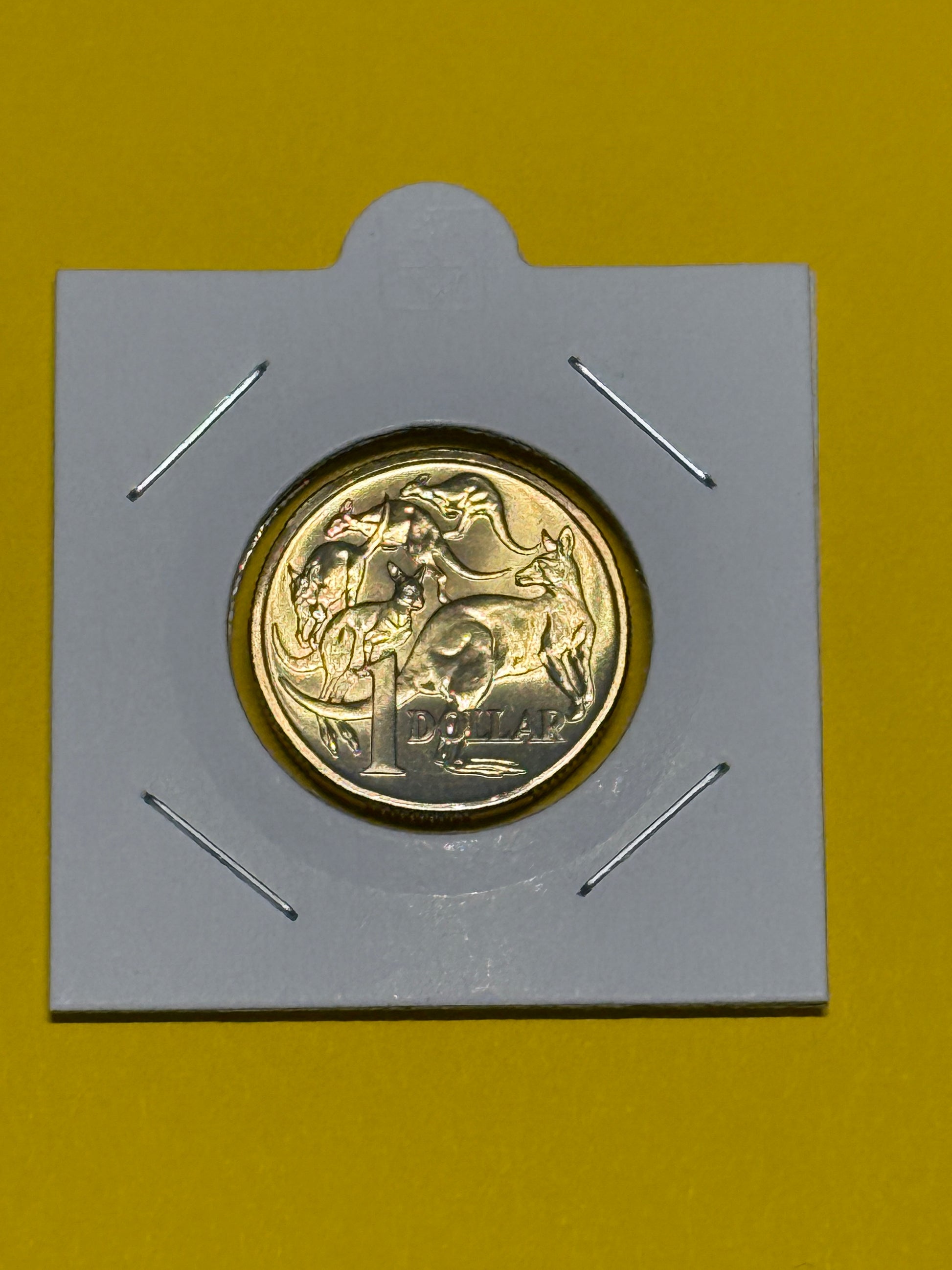 2000 $1 - Mob Of Roos Coin - Choice Uncirculated - ex mint set coin - 2x2 - New Age Numismatics