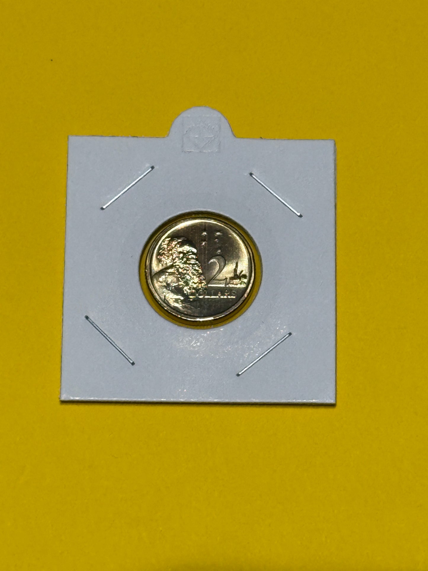 2001 $2 Elder Coin - Choice Uncirculated - ex mint set coin - comes in 2x2 - New Age Numismatics