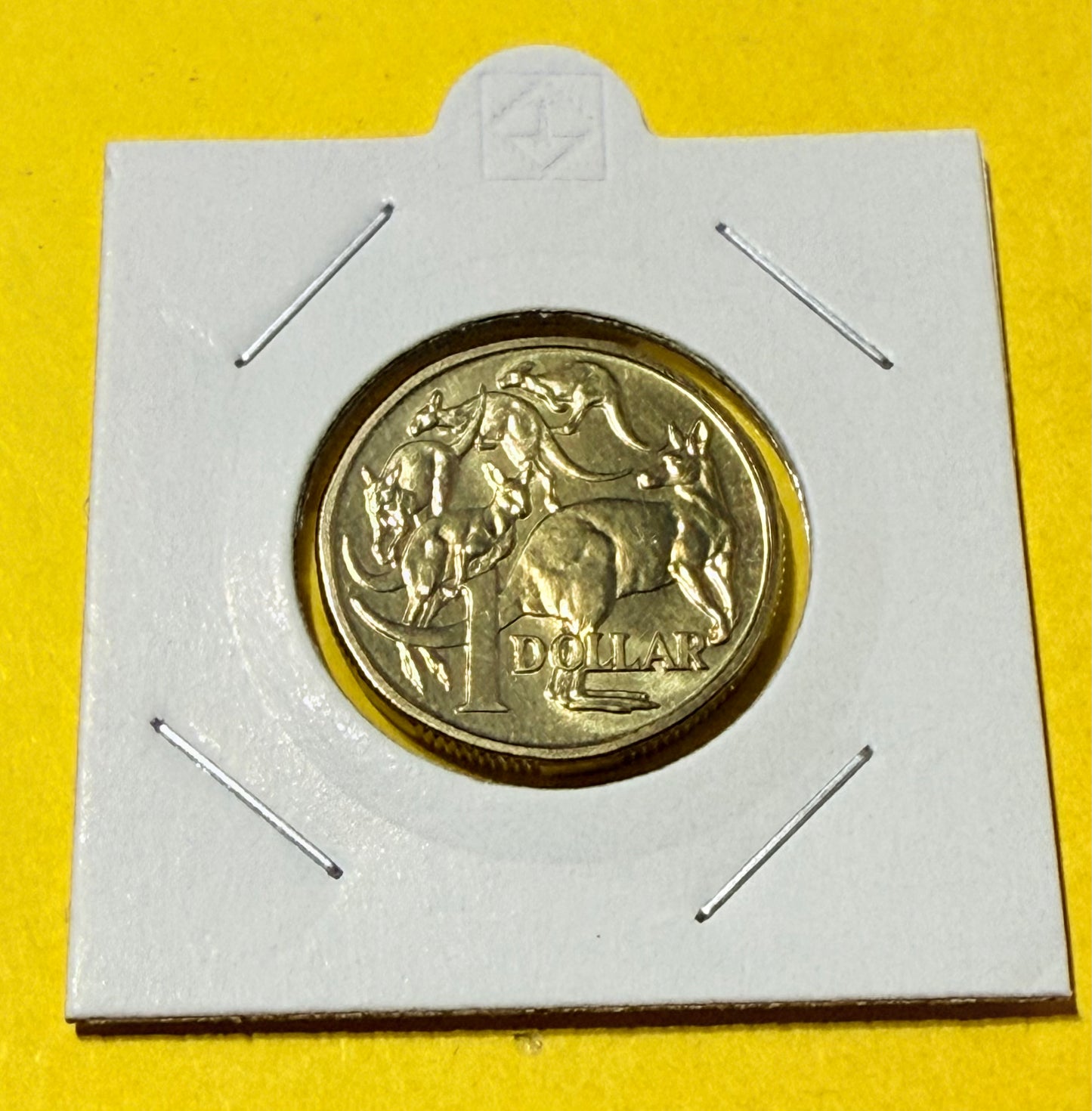 1994 $1 Coin - Mob of Roos - Uncirculated - Ex Mint Set coin - comes in 2x2