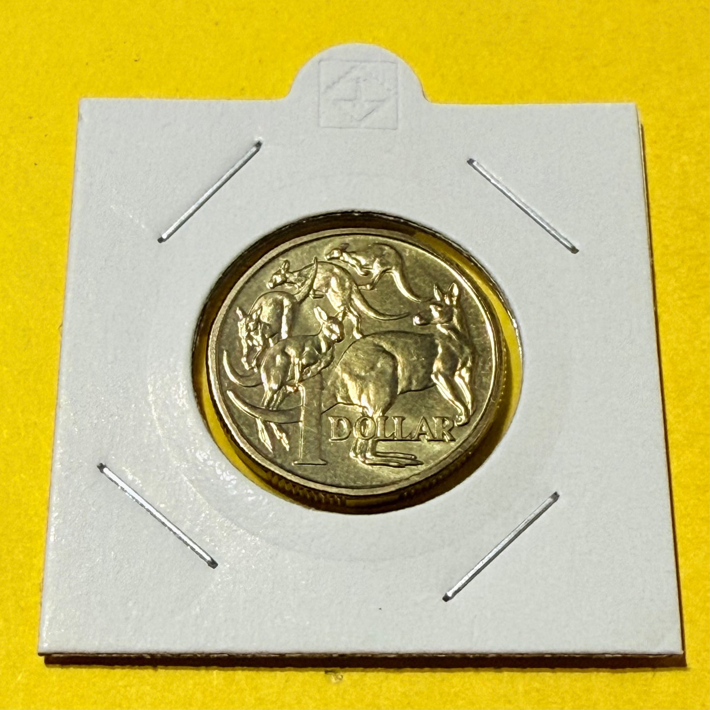 1994 $1 Coin - Mob of Roos - Uncirculated - Ex Mint Set coin - comes in 2x2