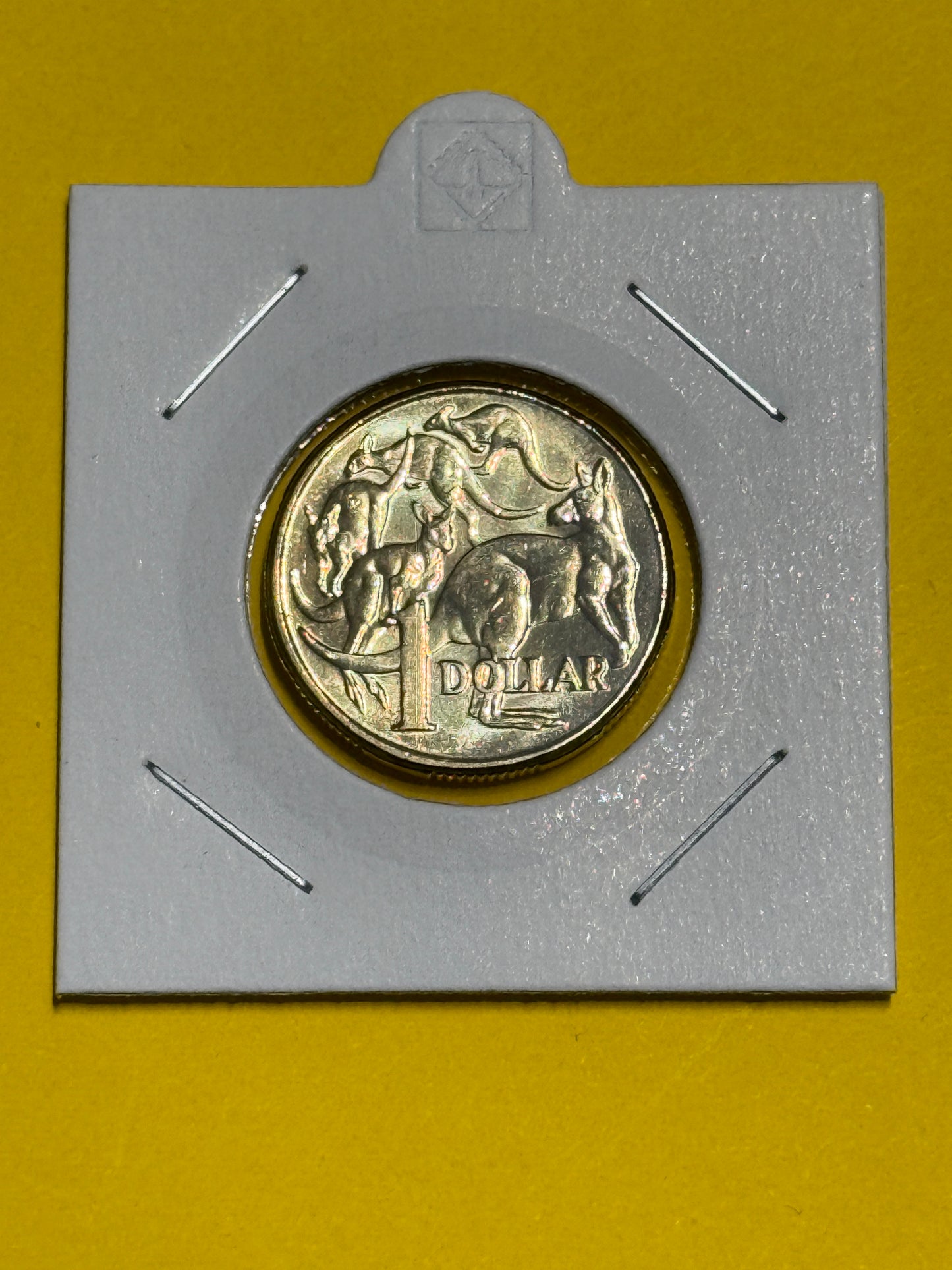 2011 $1 Coin - Mob of Roos - Uncirculated - One Dollar - comes in 2x2 - New Age Numismatics