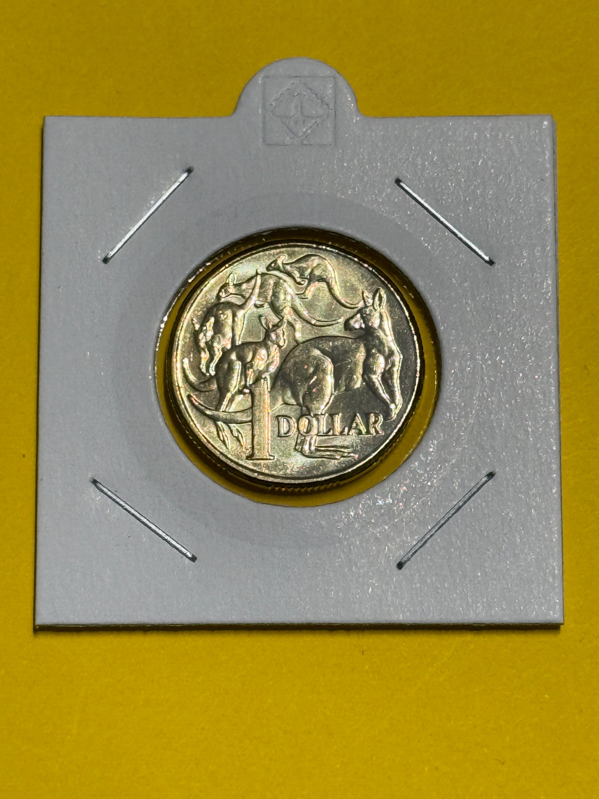 2011 $1 Coin - Mob of Roos - Uncirculated - One Dollar - comes in 2x2 - New Age Numismatics