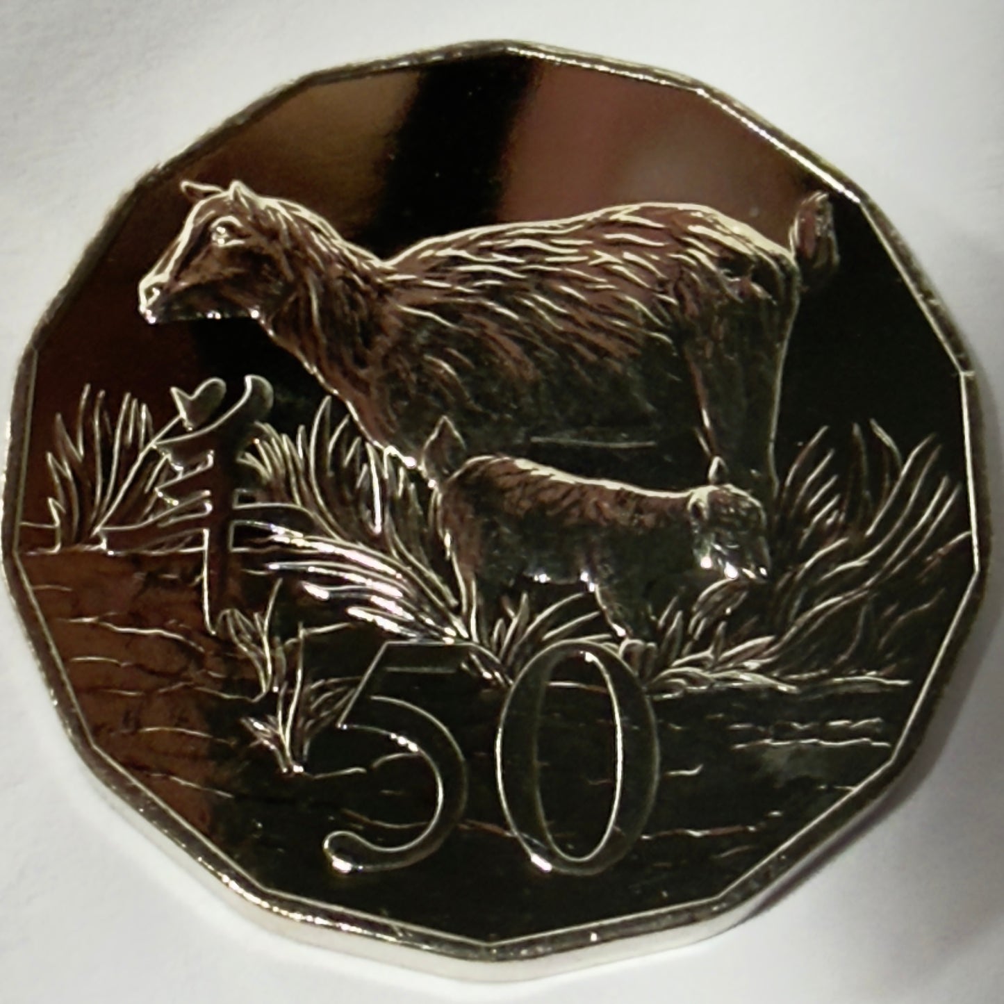 2015 50 Cent Tetra-Decagon - Lunar Year of the Goat GEM Uncirculated in Capsule