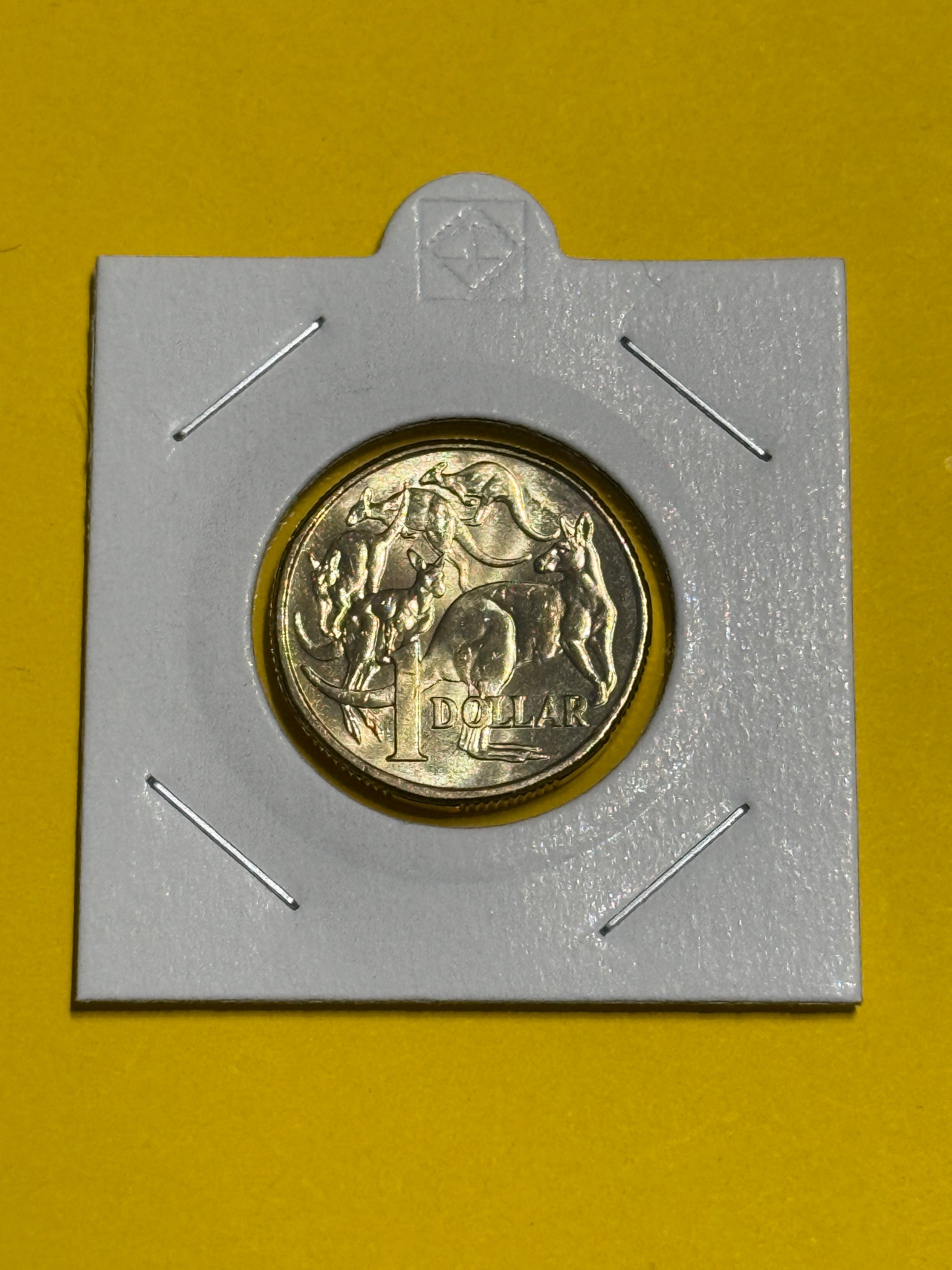 2019 $1 Coin - JC Effigy - Uncirculated - Mob of Roos - comes in 2x2 - New Age Numismatics
