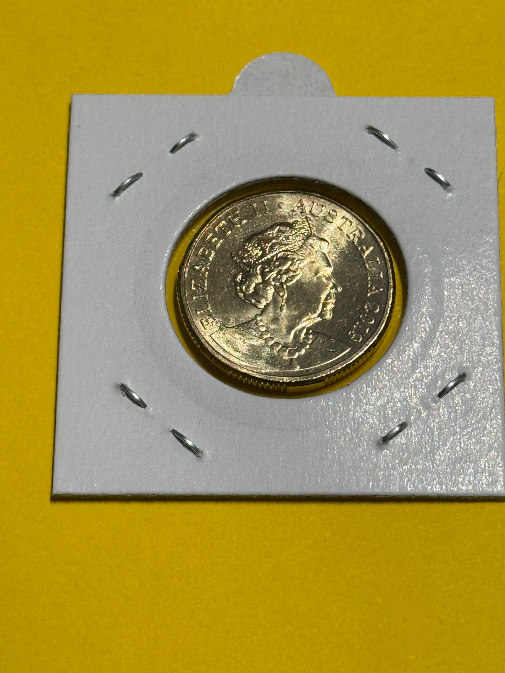 2019 $1 Coin - JC Effigy - Uncirculated - Mob of Roos - comes in 2x2 - New Age Numismatics