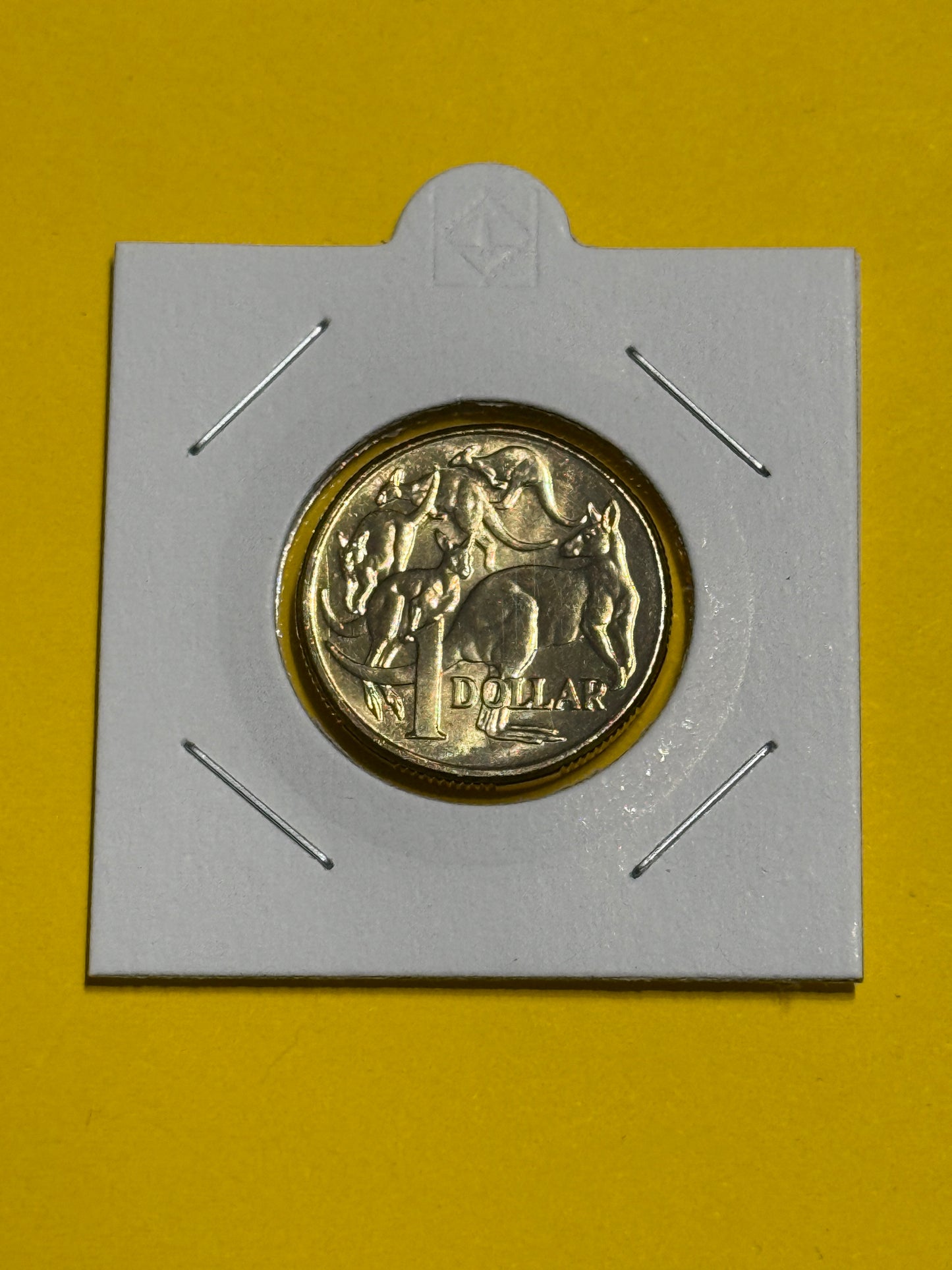 2015 $1 Coin - Uncirculated - Mob of Roos - One Dollar - comes in 2x2 - New Age Numismatics
