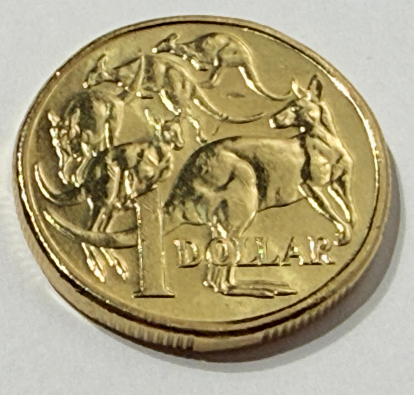 2019 $1 Mob of Roos Coin - IRB 4th Effigy - Uncirculated - comes in 2x2