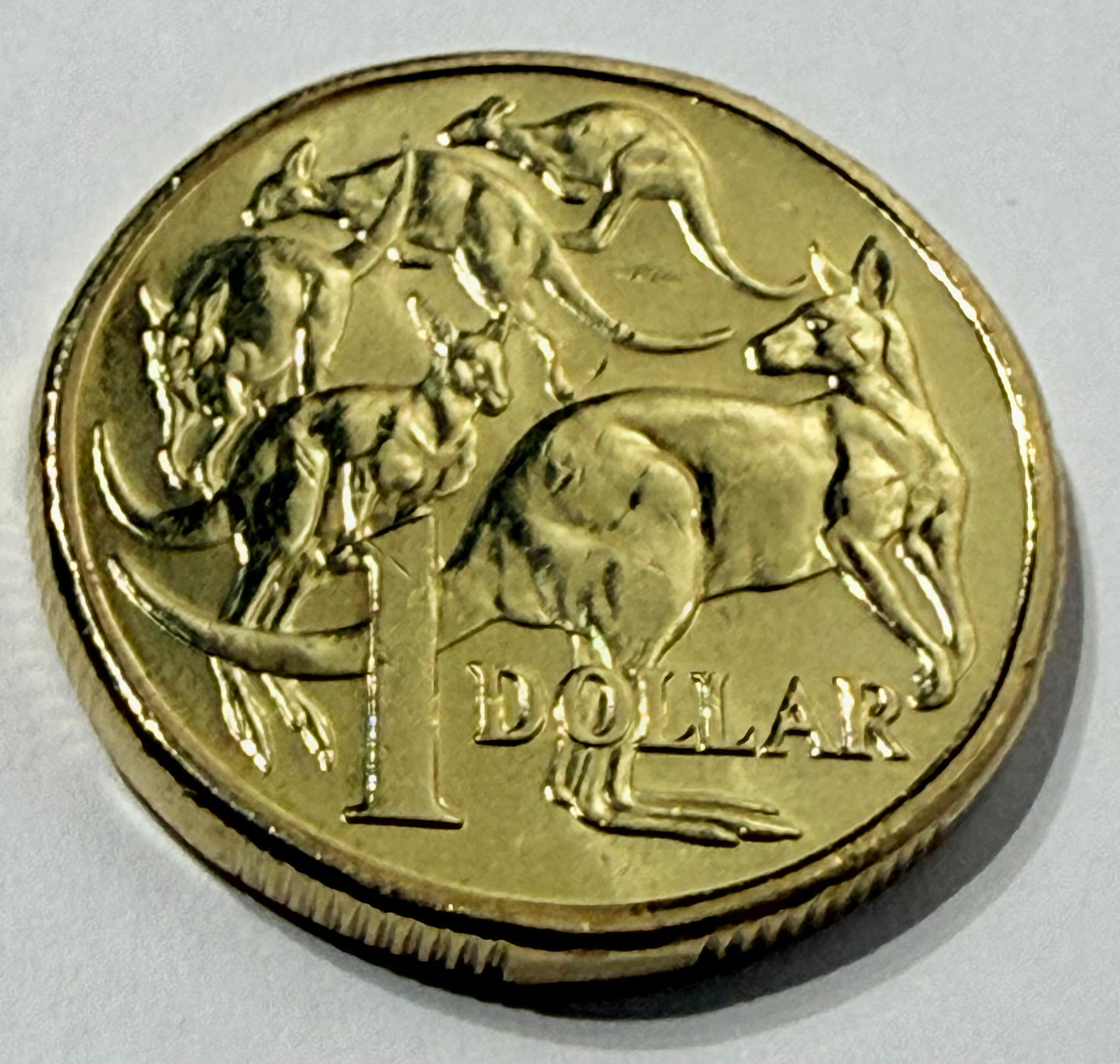 2019 $1 Mob of Roos Coin - IRB 4th Effigy - Uncirculated - comes in 2x2