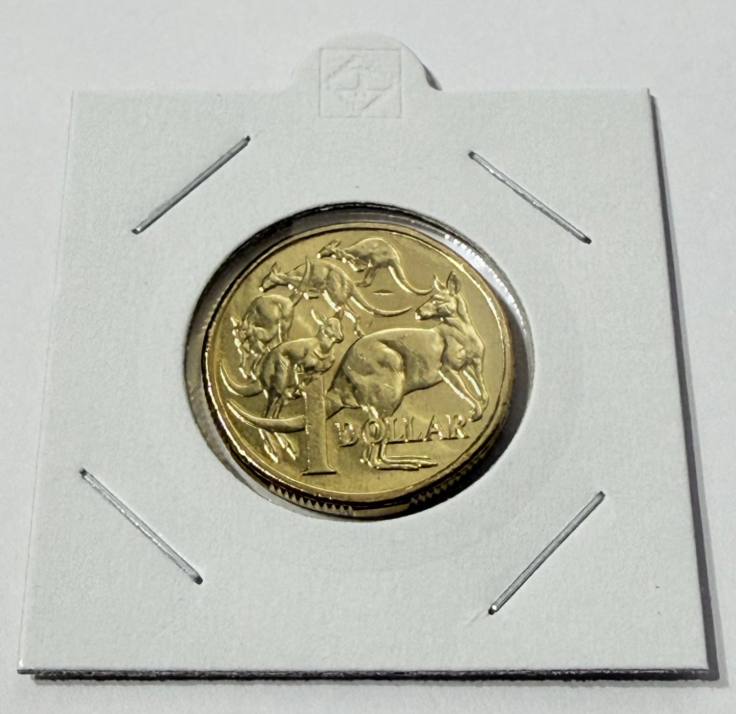 2019 $1 Mob of Roos Coin - IRB 4th Effigy - Uncirculated - comes in 2x2