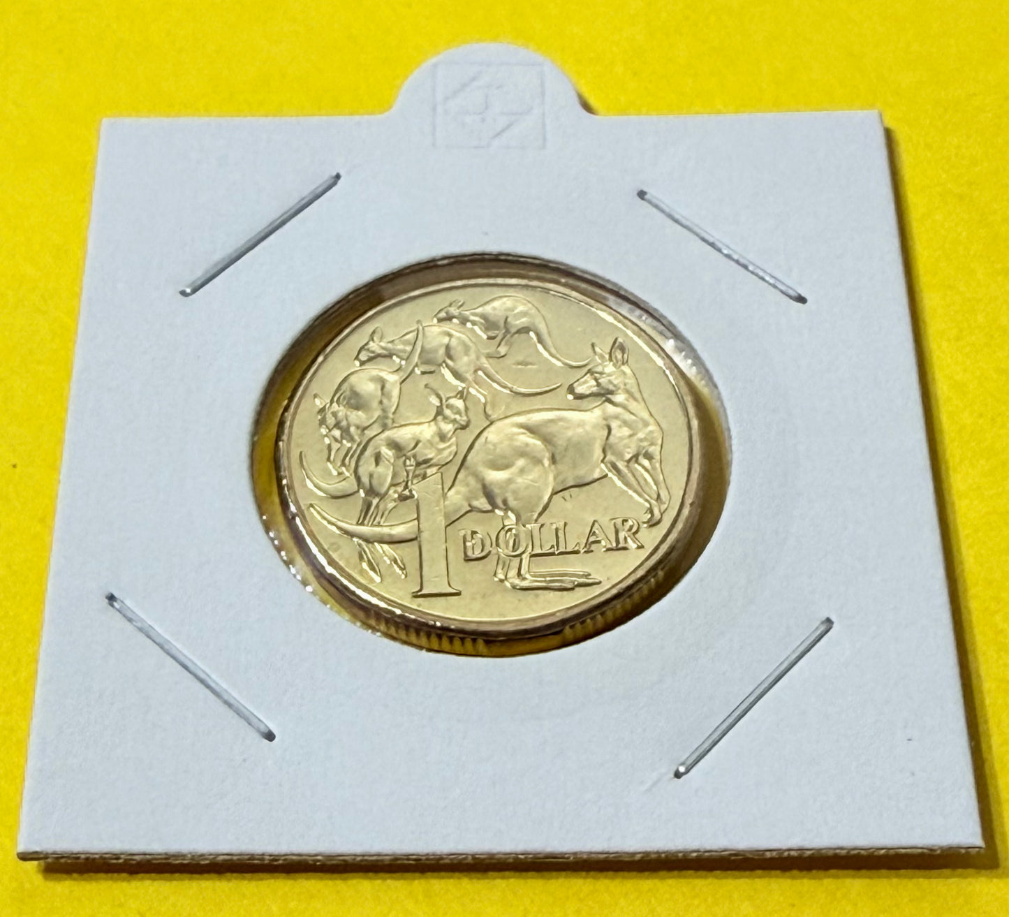 2019 $1 Mob of Roos Coin - IRB 4th Effigy - Uncirculated - comes in 2x2