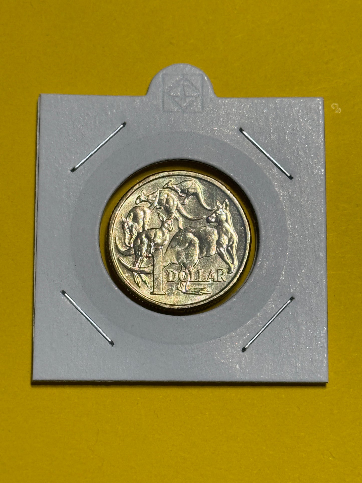 2014 $1 Mob of Roos Coin - Circulated - LOW MINTAGE Year - comes in 2x2 - New Age Numismatics