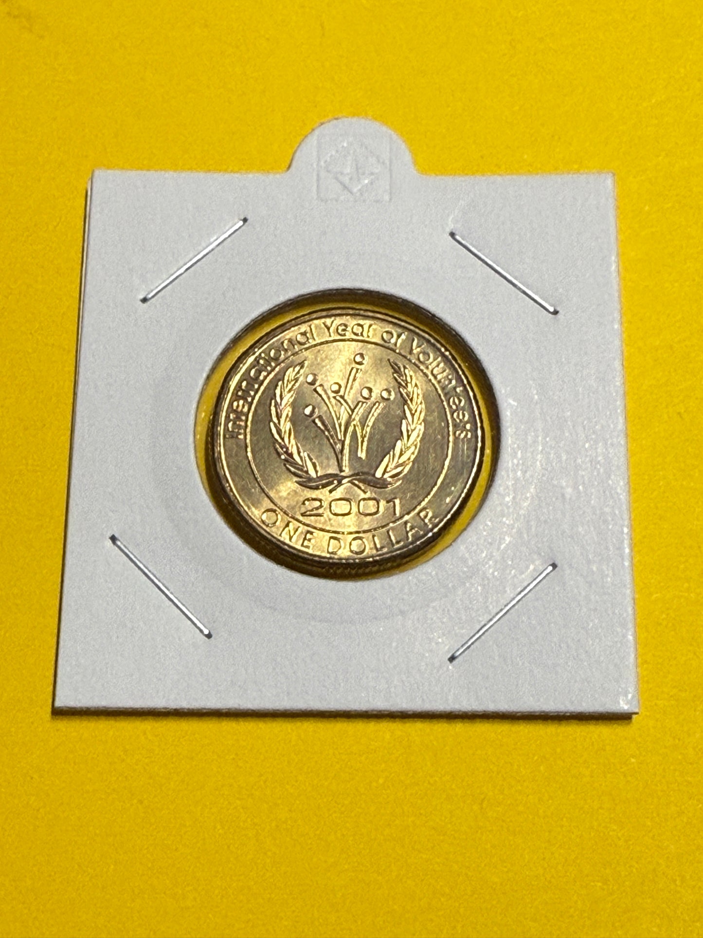 2001 $1 Year Of Volunteers Coin - Uncirculated - comes in 2x2 - New Age Numismatics