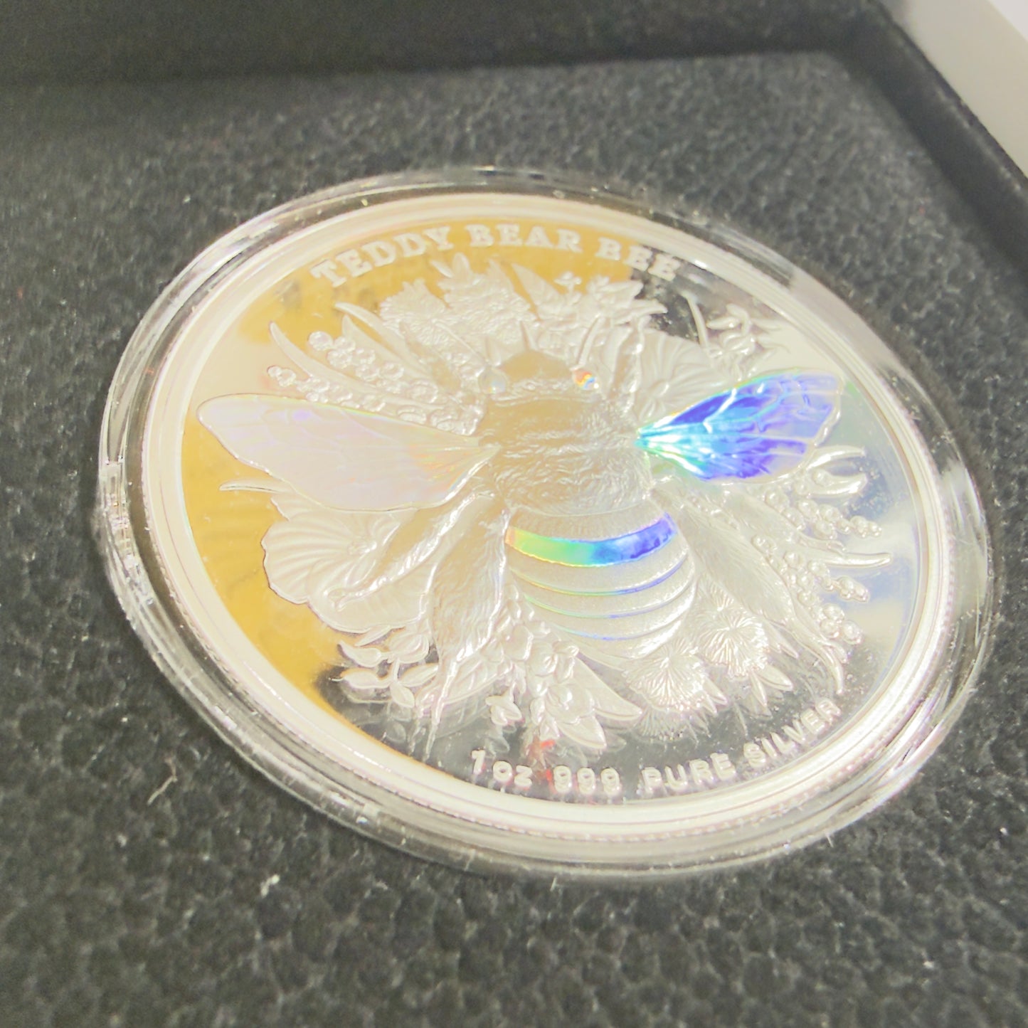 2026 Australian Native Bees "Teddy Bear Bee" 1 Oz Silver Proof Hologram Coin
