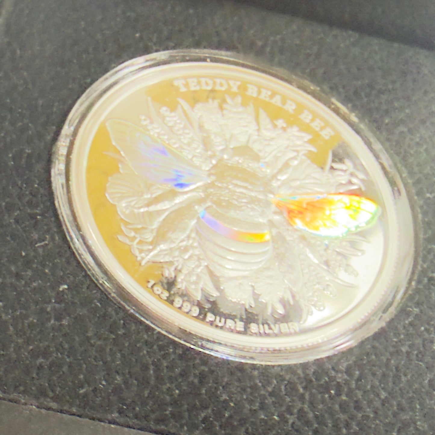 2026 Australian Native Bees "Teddy Bear Bee" 1 Oz Silver Proof Hologram Coin