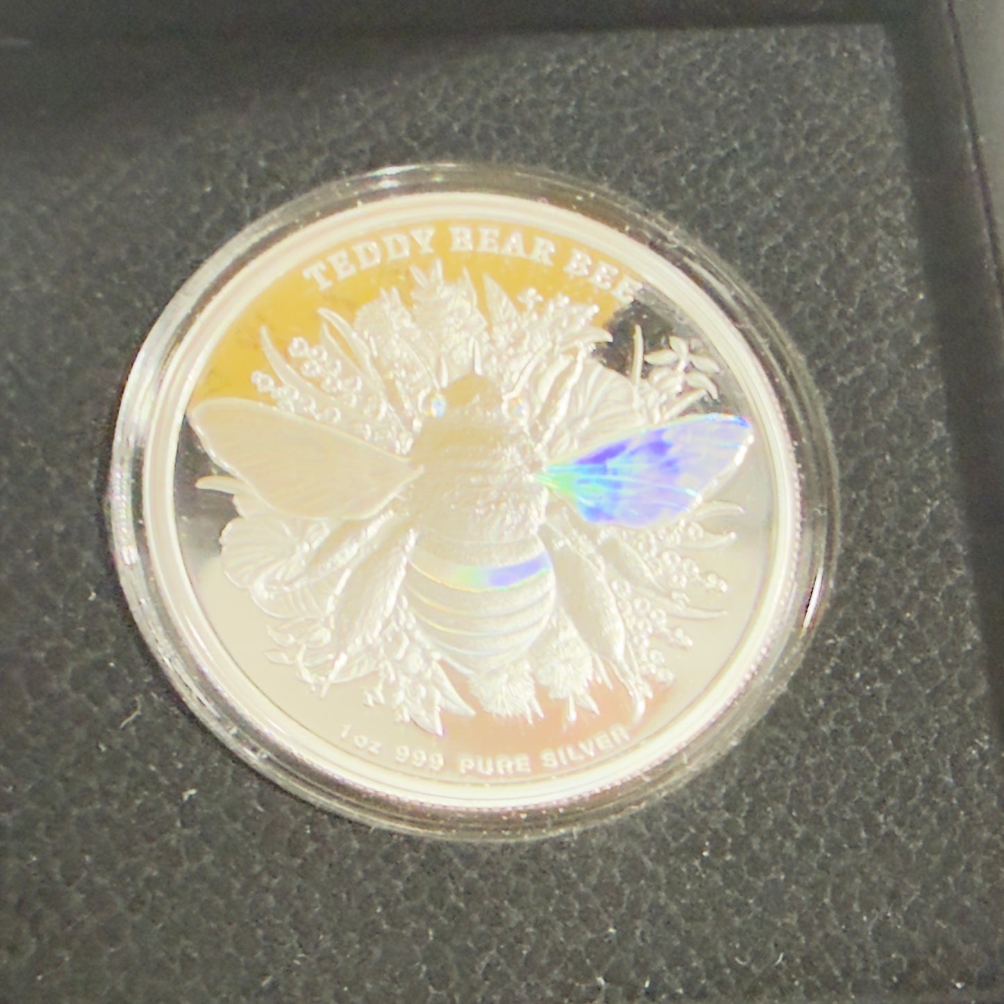 2026 Australian Native Bees "Teddy Bear Bee" 1 Oz Silver Proof Hologram Coin