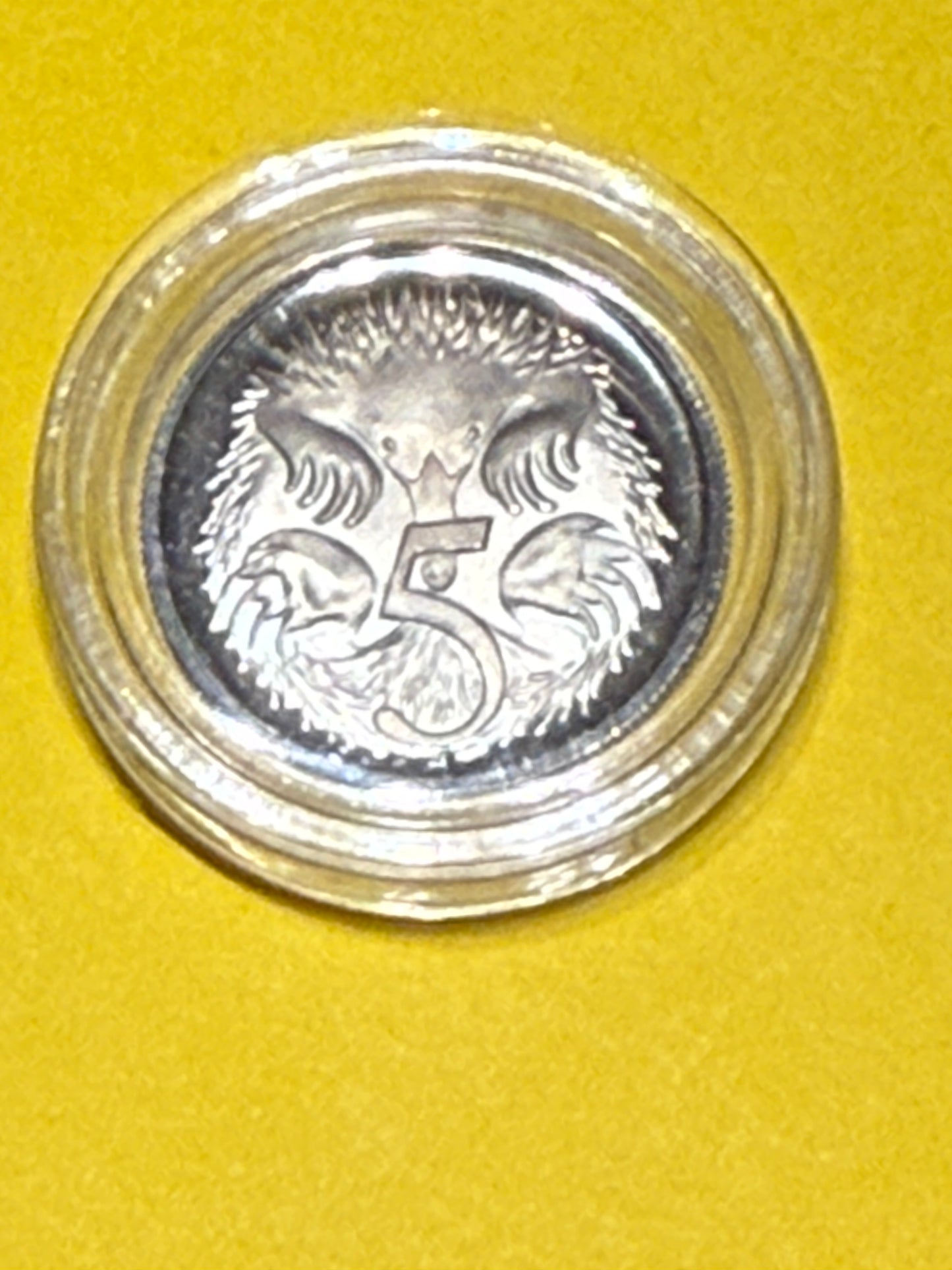 1969 5 Cent PROOF Coin - Comes in Capsule - New Age Numismatics