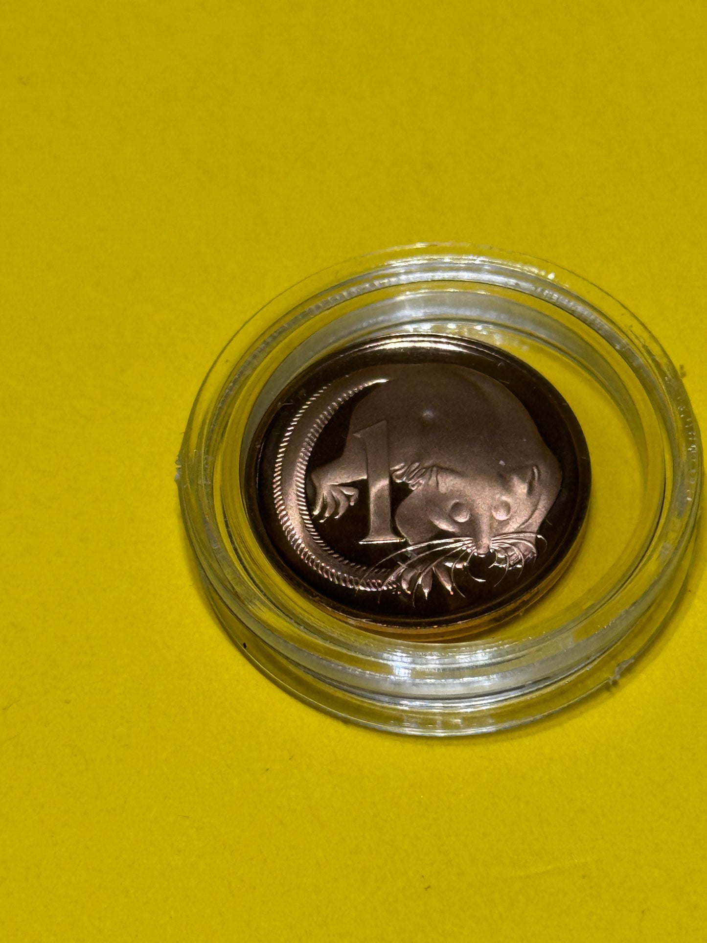 1969 1 Cent PROOF Coin - New Age Numismatics