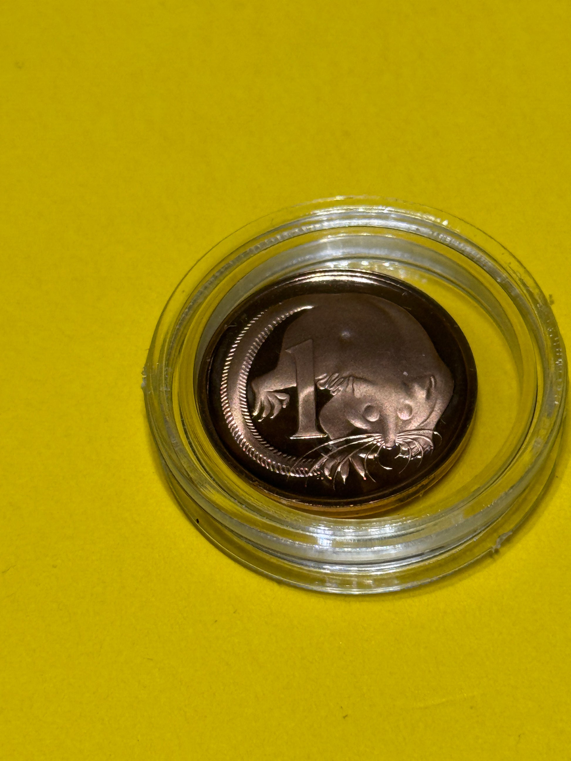 1969 1 Cent PROOF Coin - New Age Numismatics