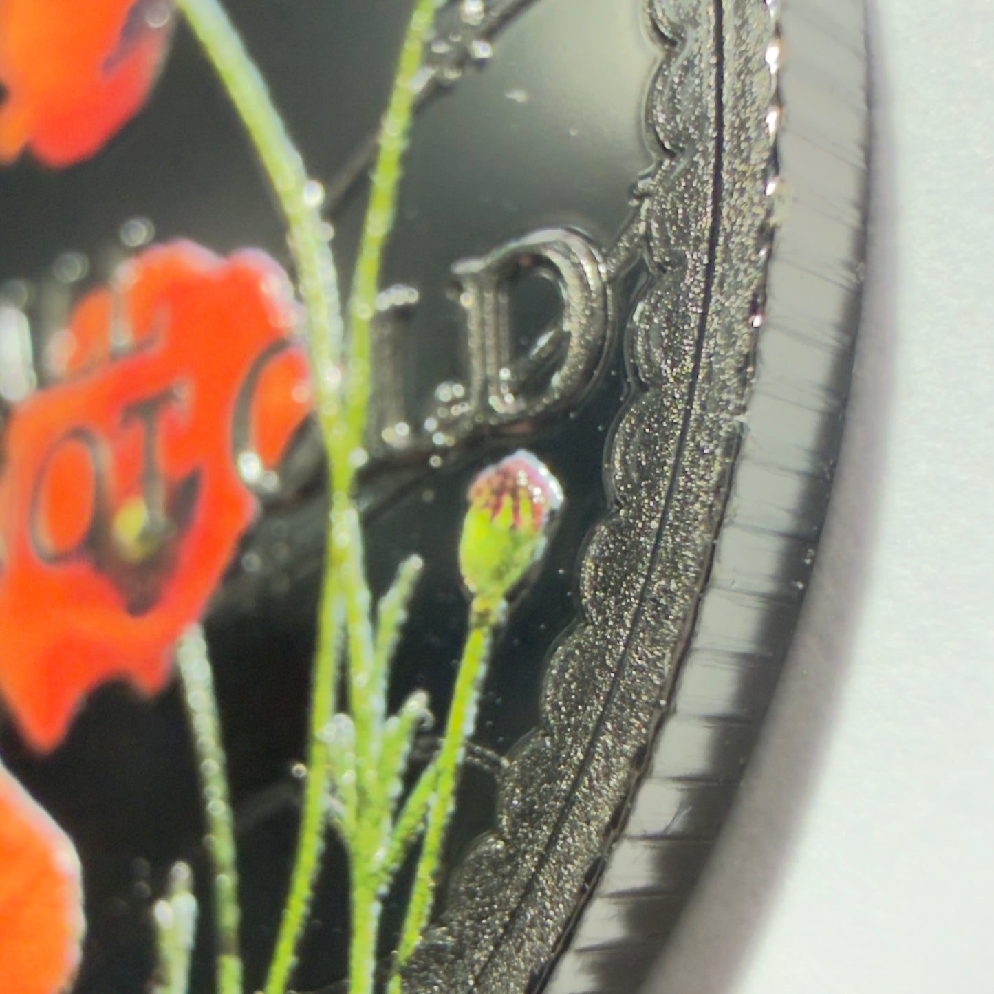 2026 50 Cent Coin - 25th APRIL THEY SHALL GROW NOT OLD - on Card