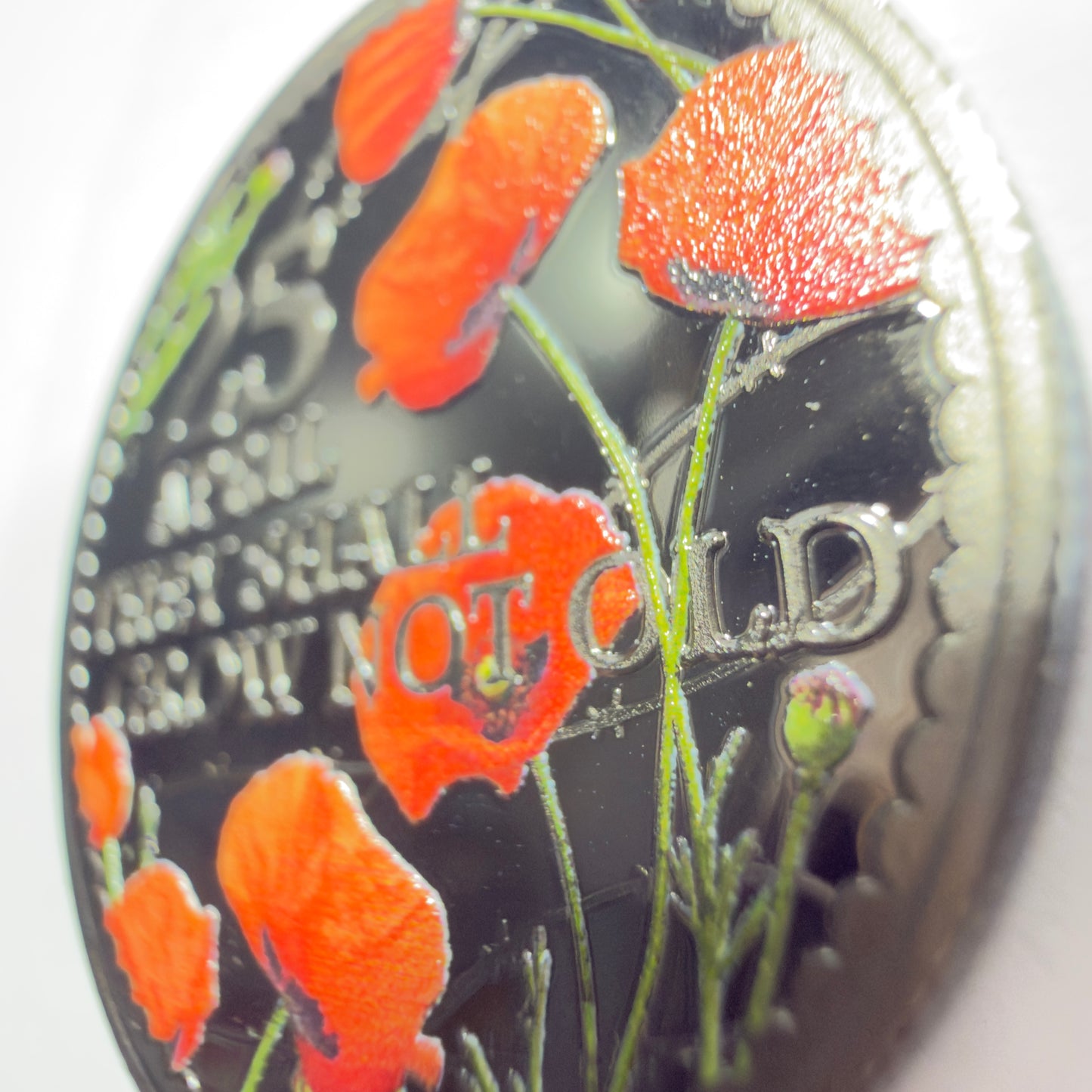 2026 50 Cent Coin - 25th APRIL THEY SHALL GROW NOT OLD - on Card