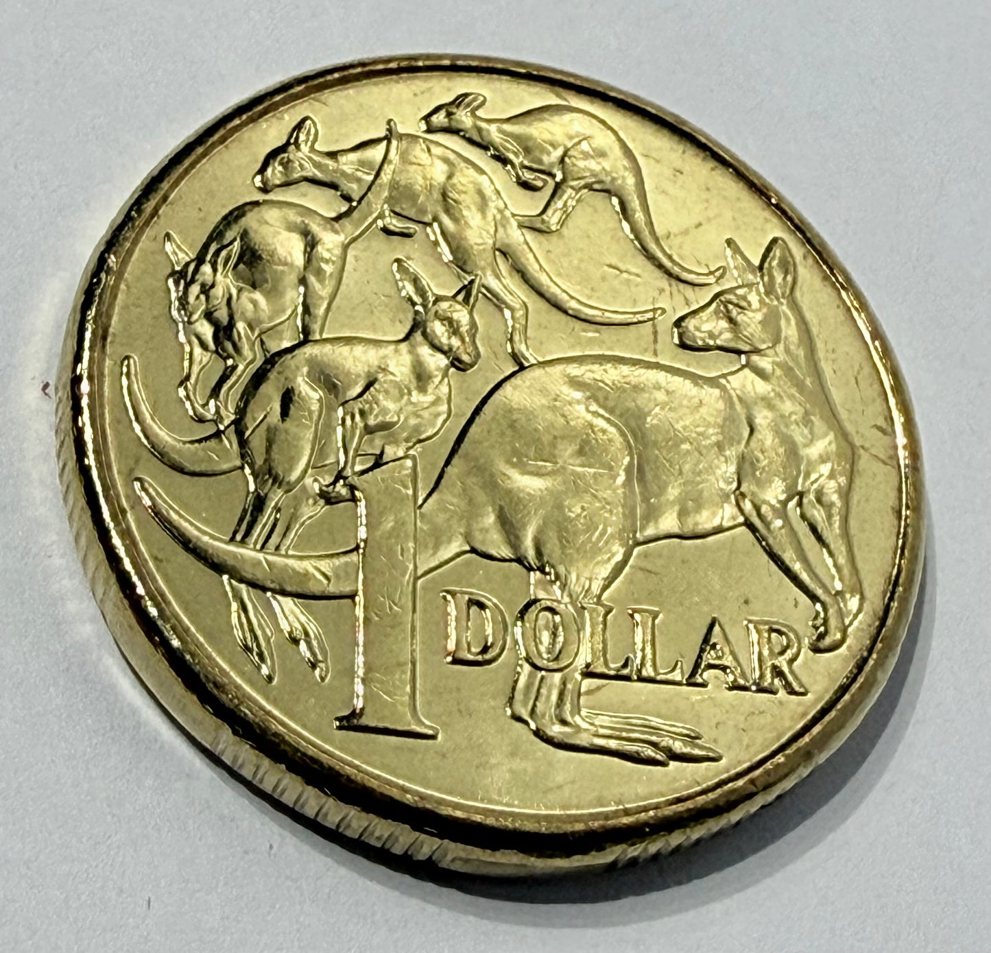 2013 $1 Coin - Uncirculated - Mob Of Roos - comes in 2x2