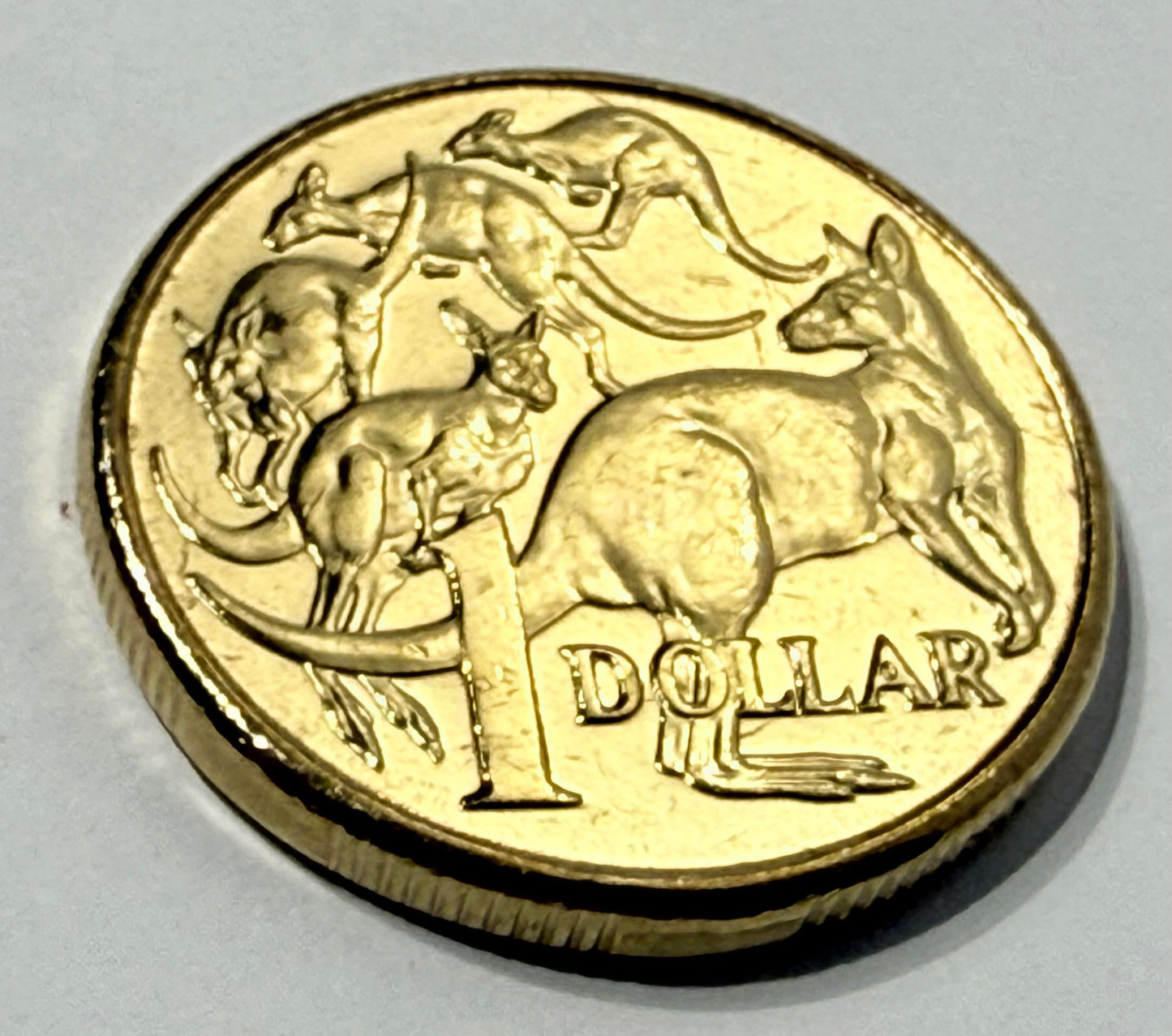 2013 $1 Coin - Uncirculated - Mob Of Roos - comes in 2x2