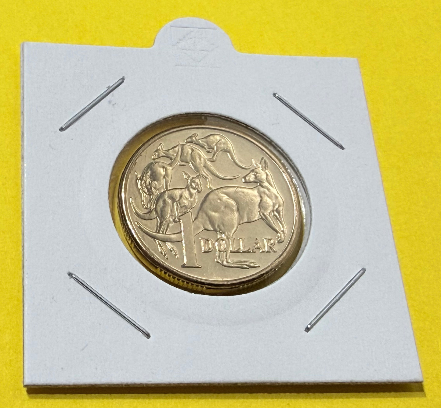 2013 $1 Coin - Uncirculated - Mob Of Roos - comes in 2x2
