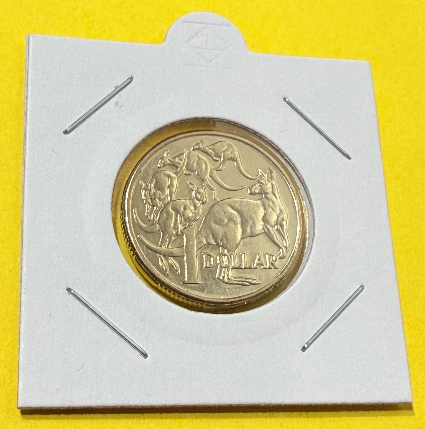 2013 $1 Coin - Uncirculated - Mob Of Roos - comes in 2x2