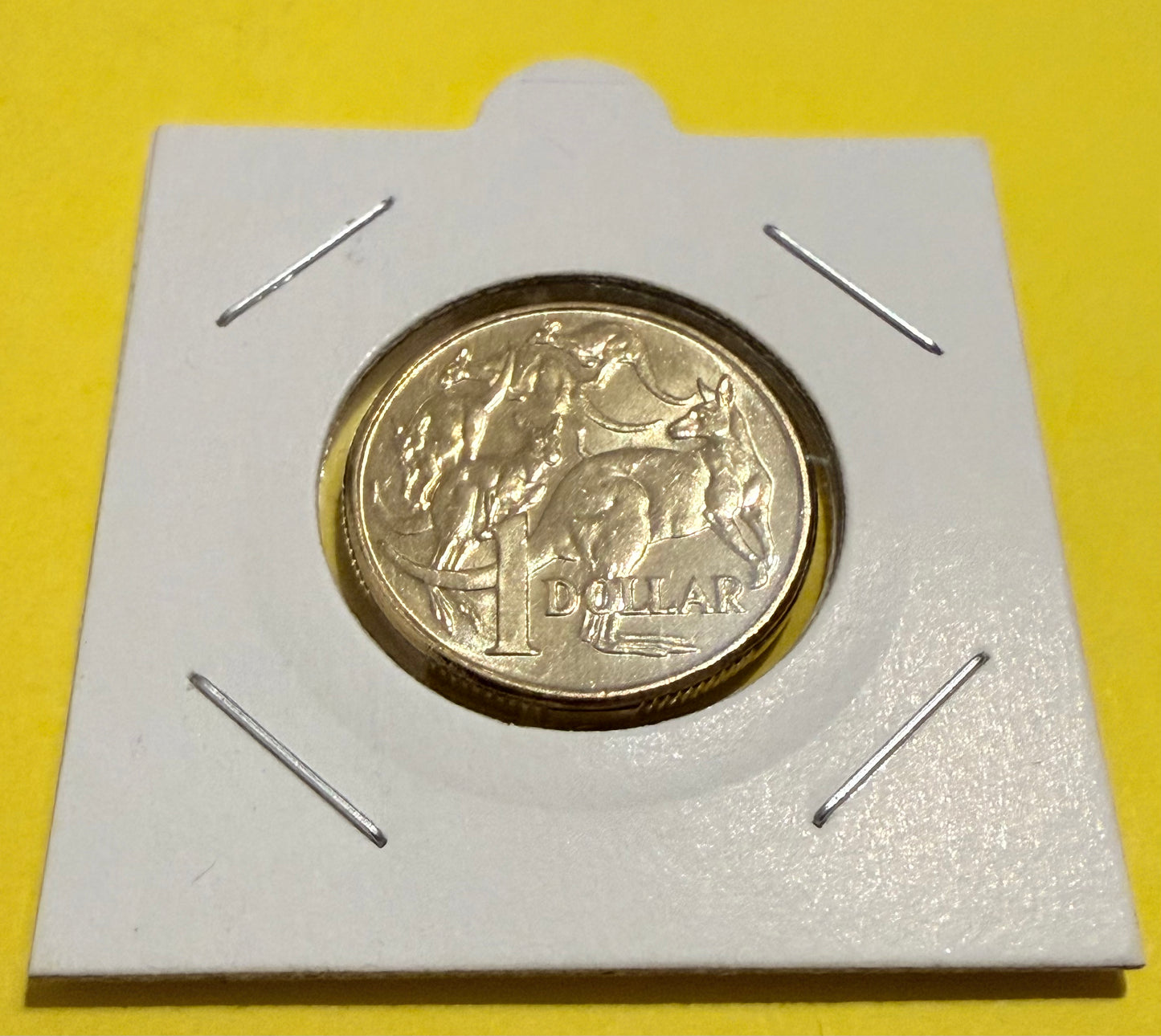 2013 $1 Coin - Uncirculated - Mob Of Roos - comes in 2x2