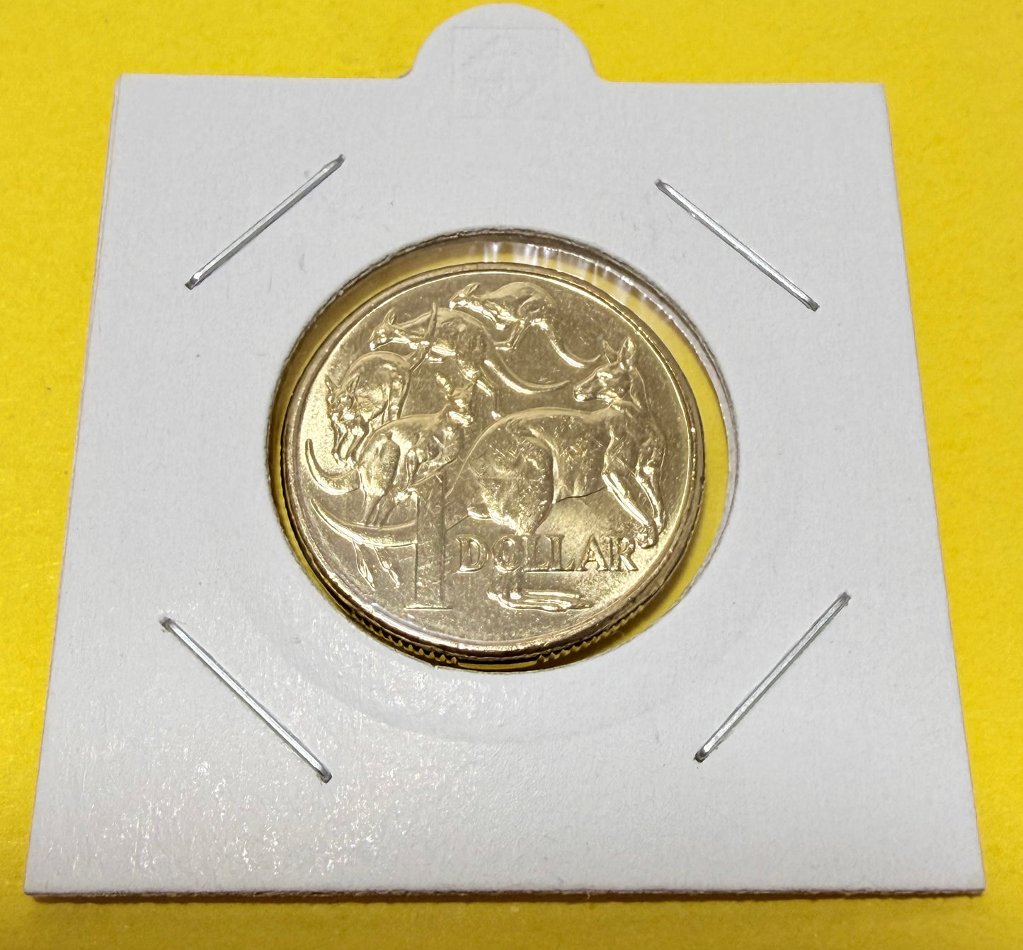 2013 $1 Coin - Uncirculated - Mob Of Roos - comes in 2x2