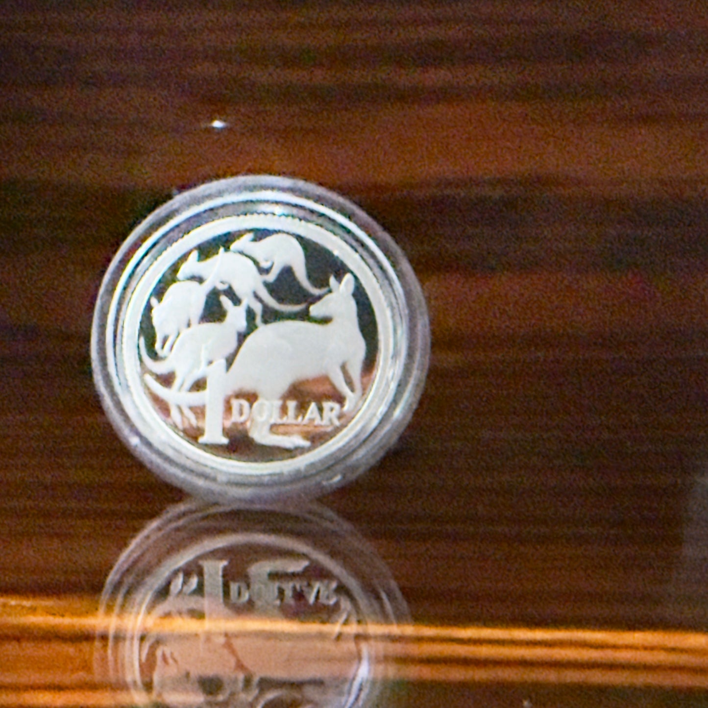 2026 $1 Mob Of 5 Roos - .999 Fine Silver Proof Coin in Original Capsule