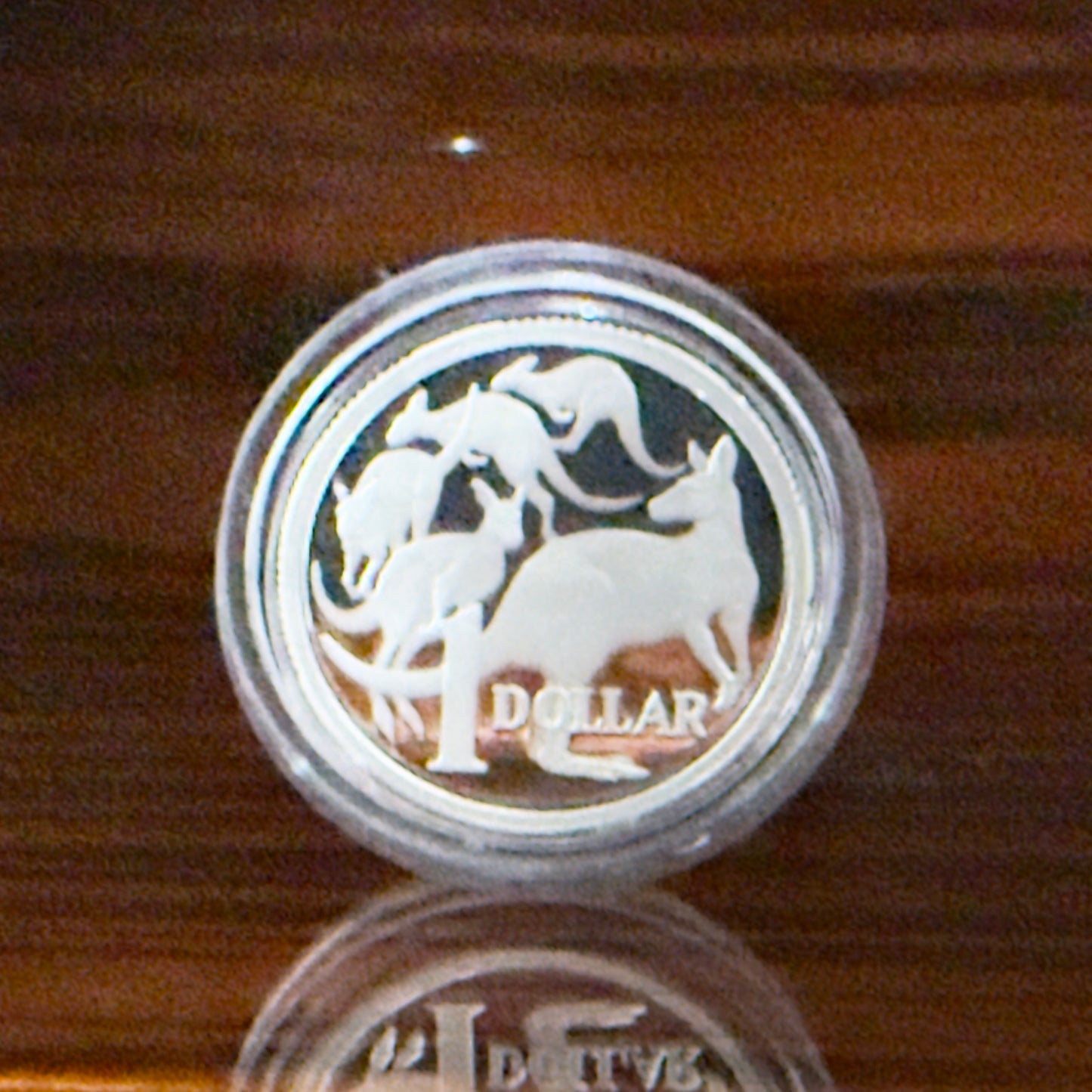 2026 $1 Mob Of 5 Roos - .999 Fine Silver Proof Coin in Original Capsule