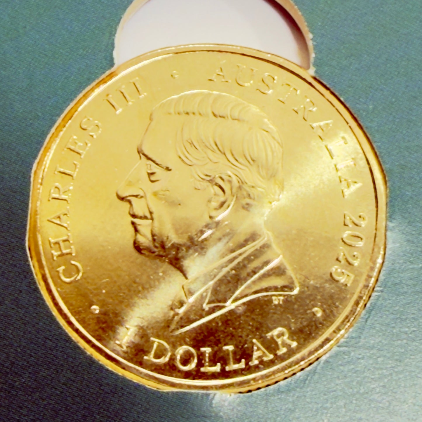 2025 $1 Coin - 🍓 The BIG STRAWBERRY 🍓 - Uncirculated in Holder