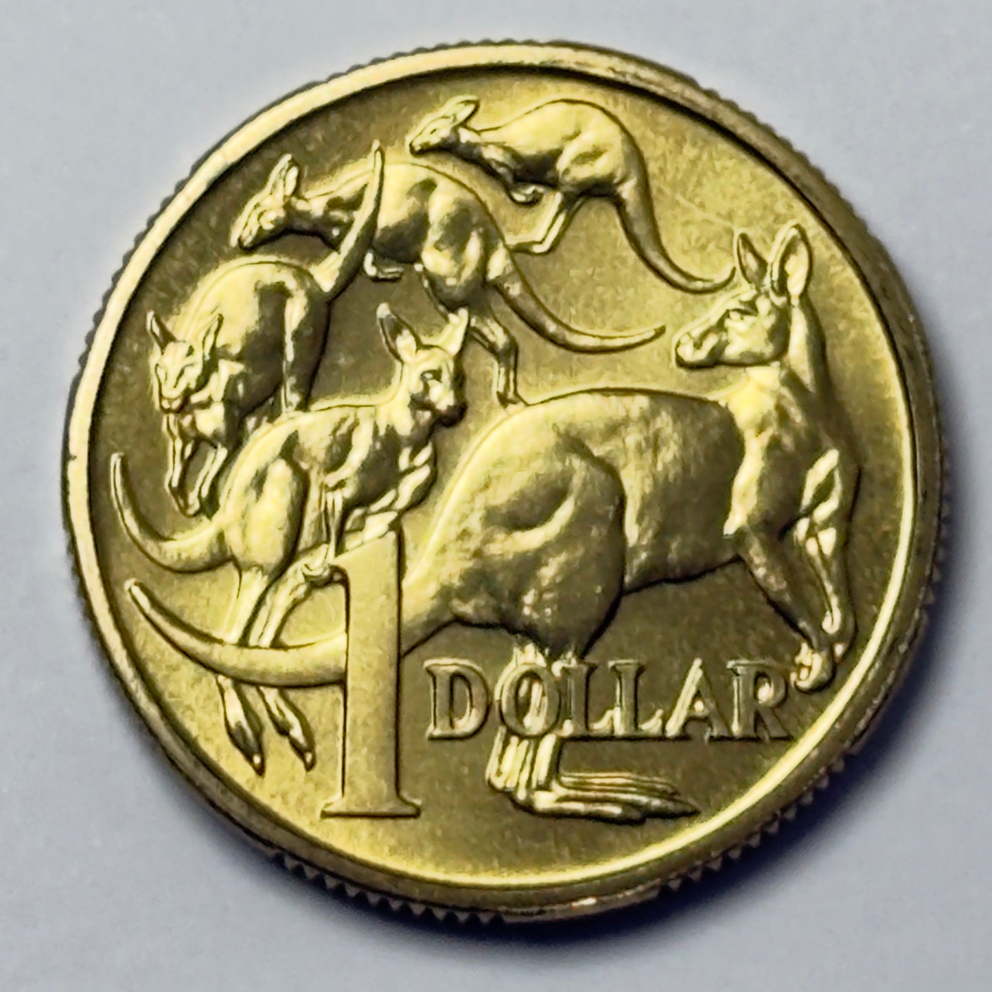 1995 $1 Coin - Choice Uncirculated - One Dollar - Ex MINT SET Coin - in 2x2