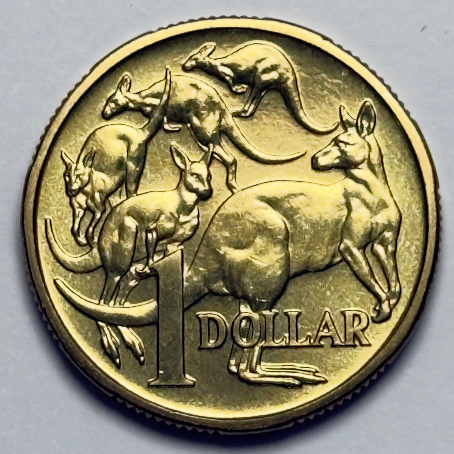 1995 $1 Coin - Choice Uncirculated - One Dollar - Ex MINT SET Coin - in 2x2