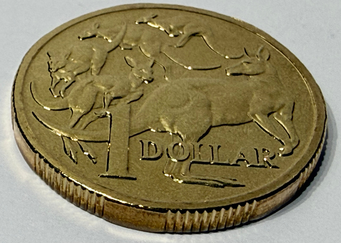 2012 $1 Mob of Roos - Mint Set ONLY Coin - Uncirculated - comes in 2x2
