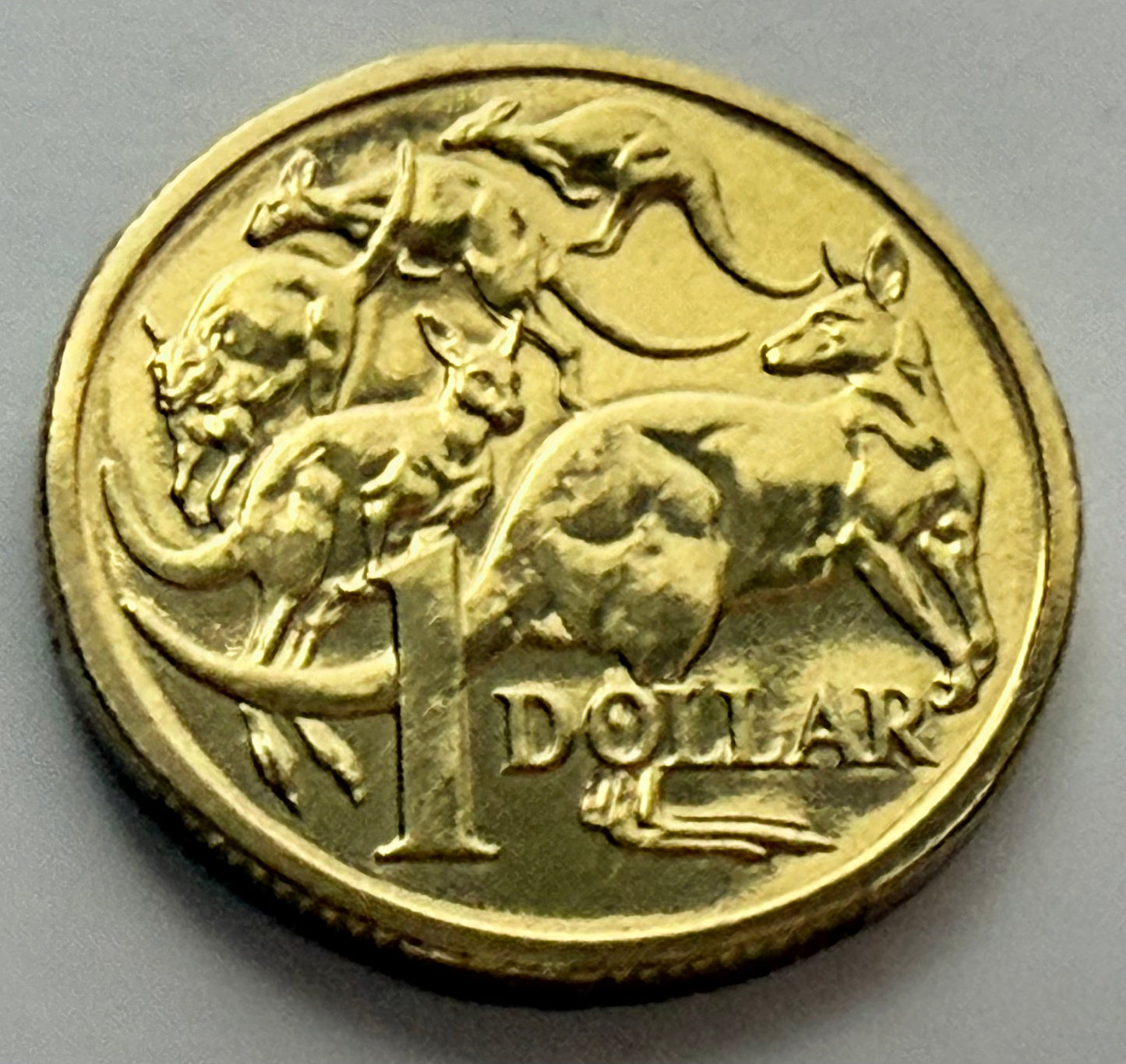 2012 $1 Mob of Roos - Mint Set ONLY Coin - Uncirculated - comes in 2x2