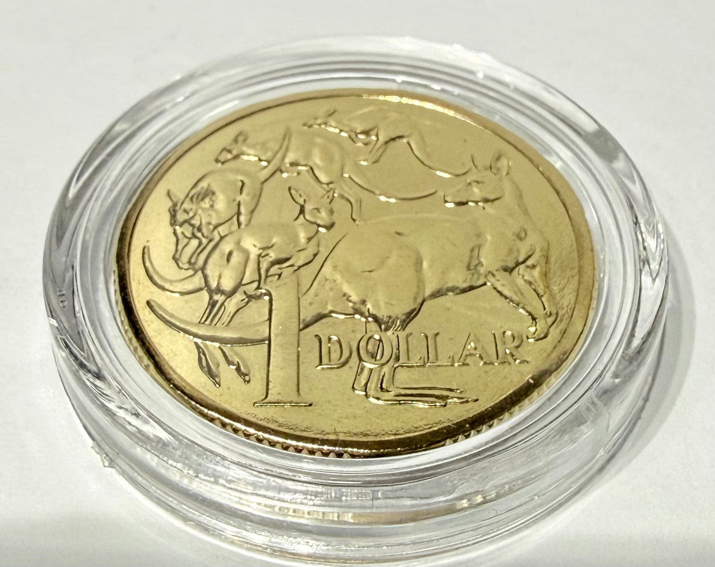 2012 $1 Mob of Roos - Mint Set ONLY Coin - Uncirculated - comes in 2x2