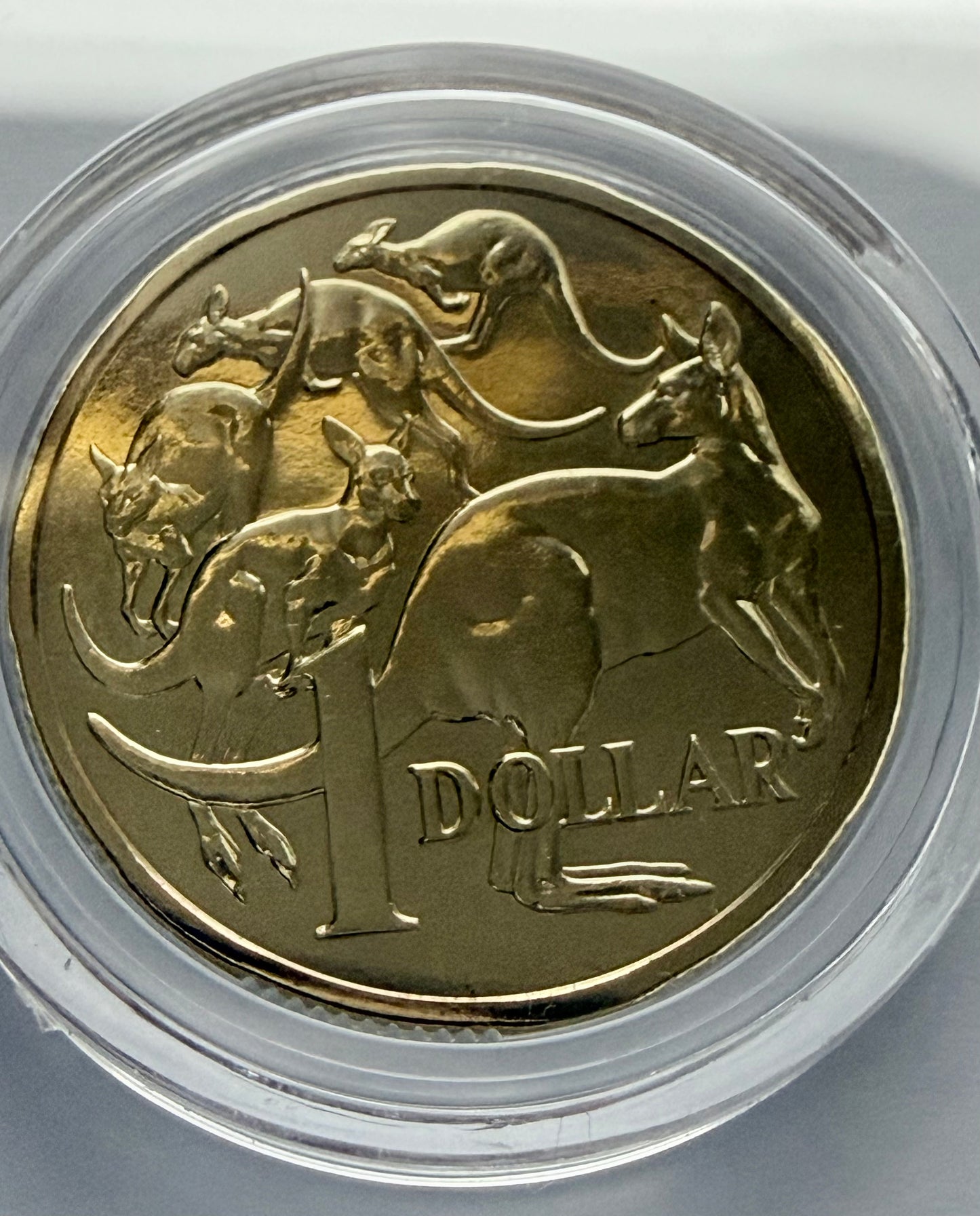 2012 $1 Mob of Roos - Mint Set ONLY Coin - Uncirculated - comes in 2x2