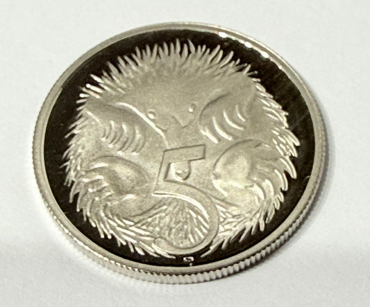 1991 5 Cent Proof Coin - comes in 2x2