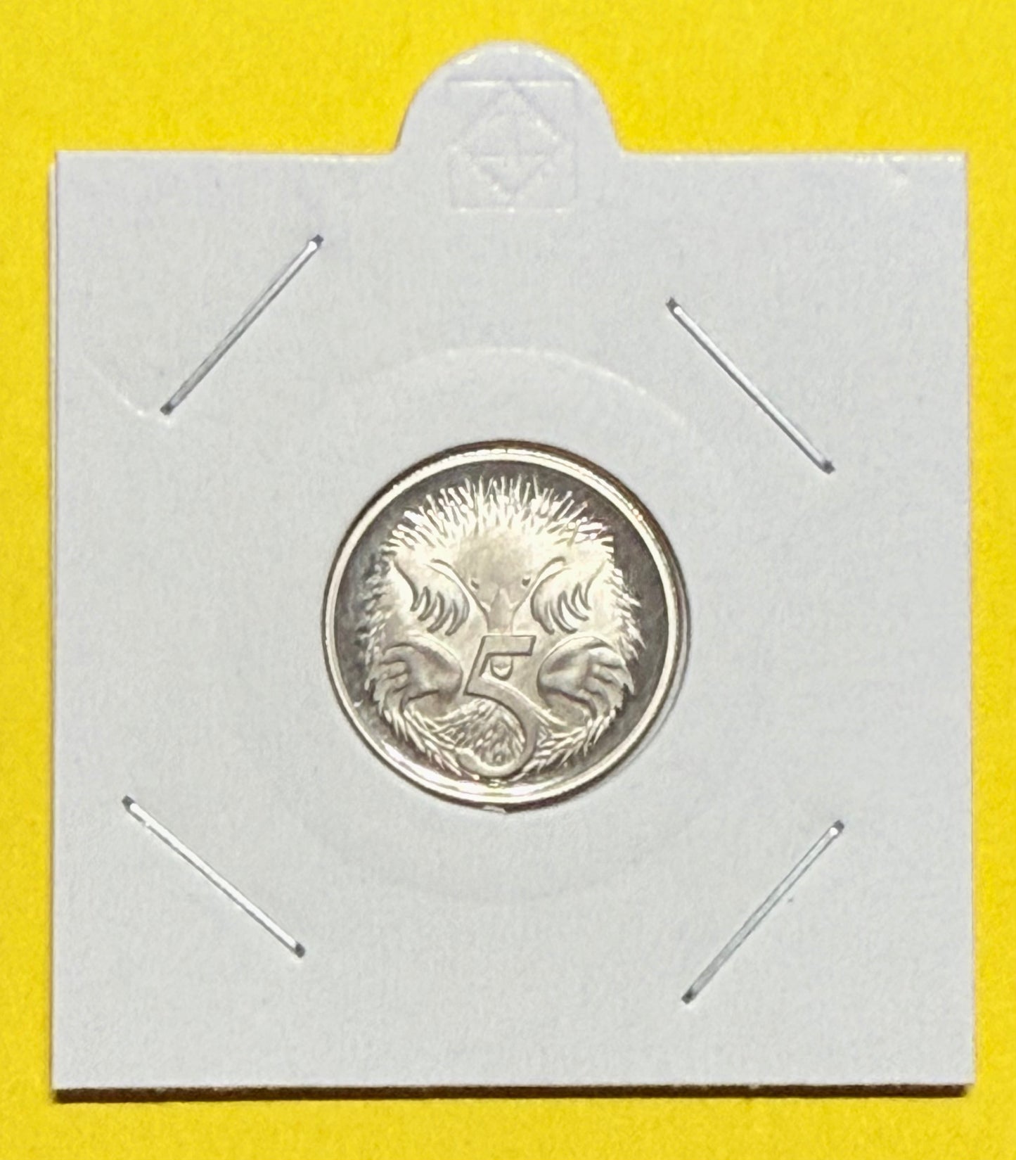 1991 5 Cent Proof Coin - comes in 2x2