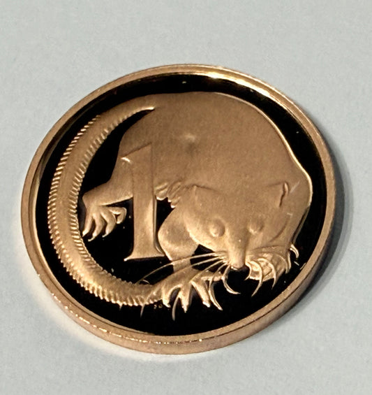 1991 1 Cent Proof Coin - comes in 2x2