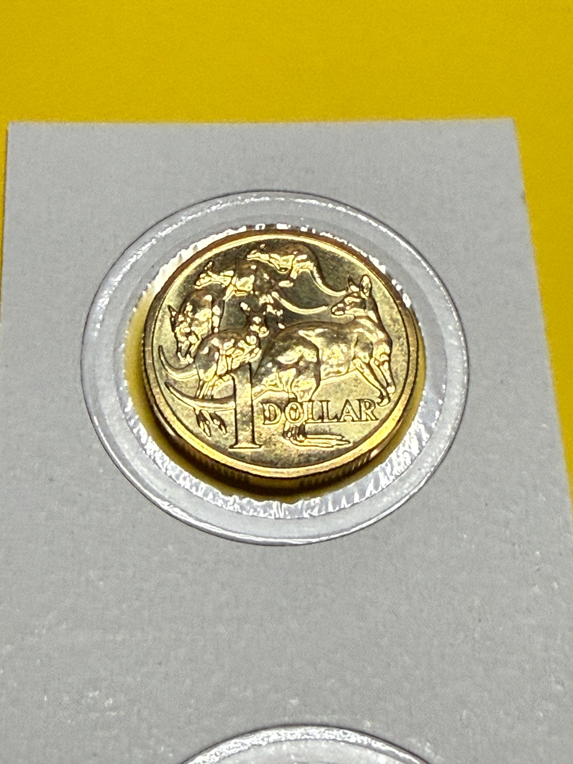 2007 $1 Coin - Uncirculated - Mob Of Roos - Mint Set Only Coin - Comes In 2x2 - New Age Numismatics