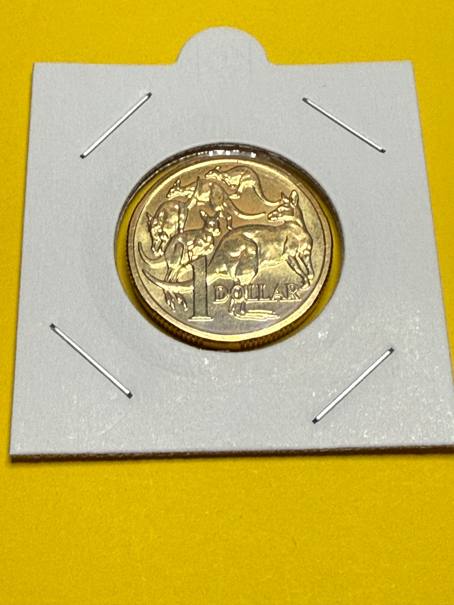 2007 $1 Coin - Uncirculated - Mob Of Roos - Mint Set Only Coin - Comes In 2x2 - New Age Numismatics