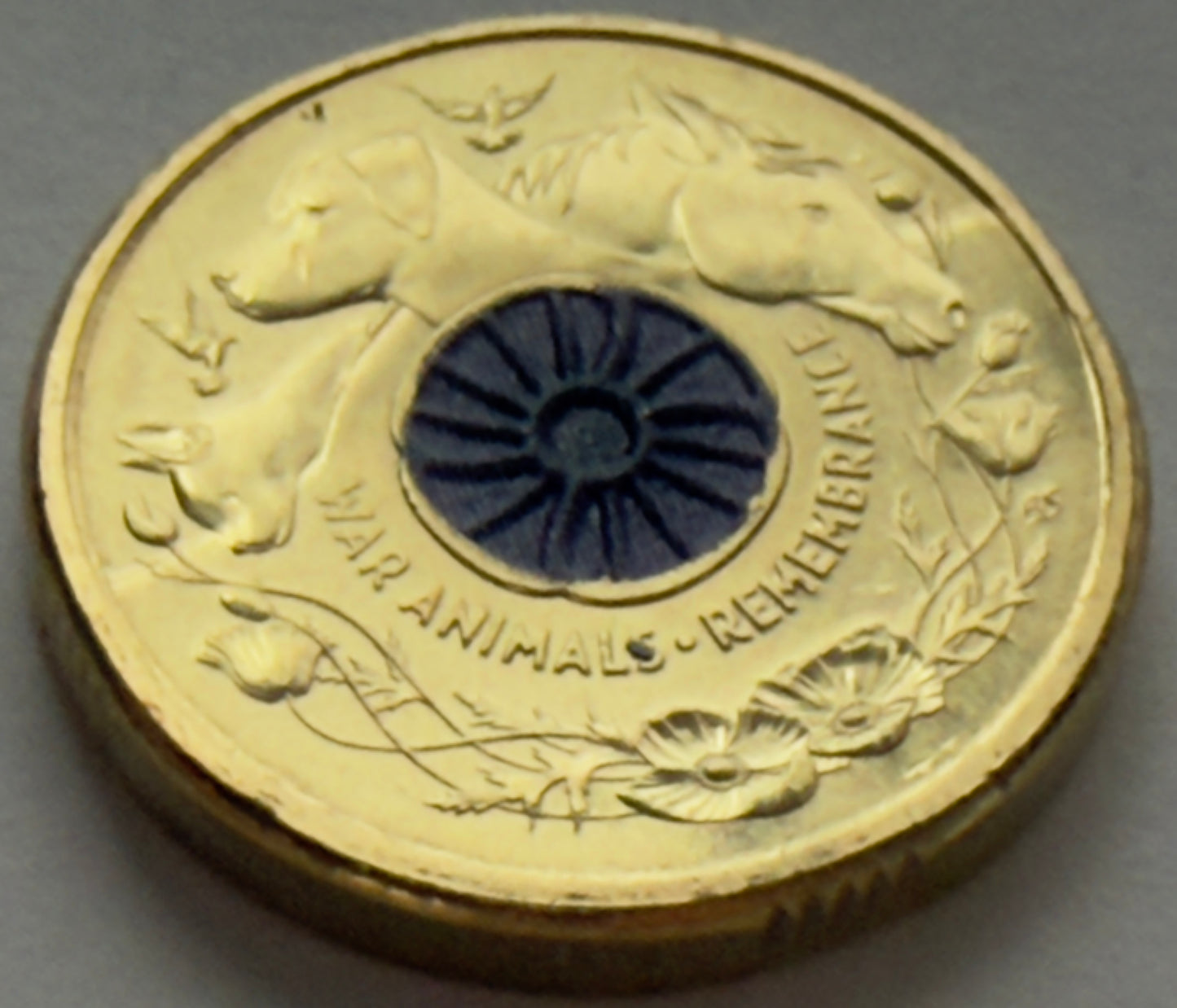 2024 $2 Coin - Purple Poppy - Uncirculated - comes in 2x2
